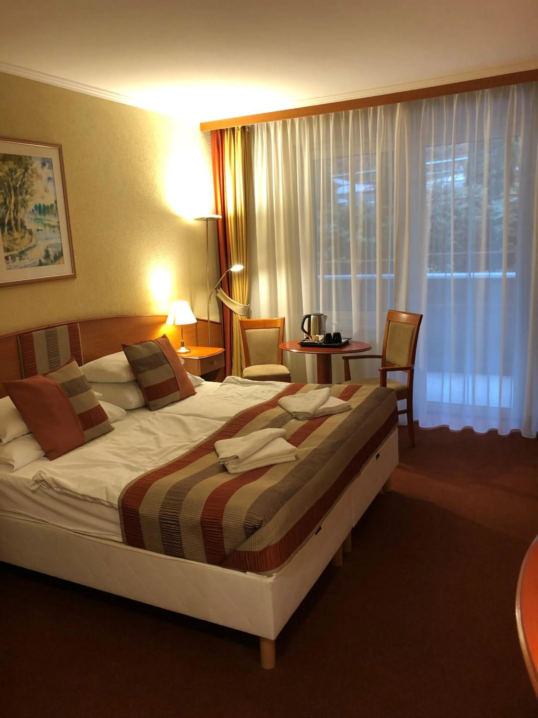 Photo of the whole room, Bed in Hotel Spa Hévíz