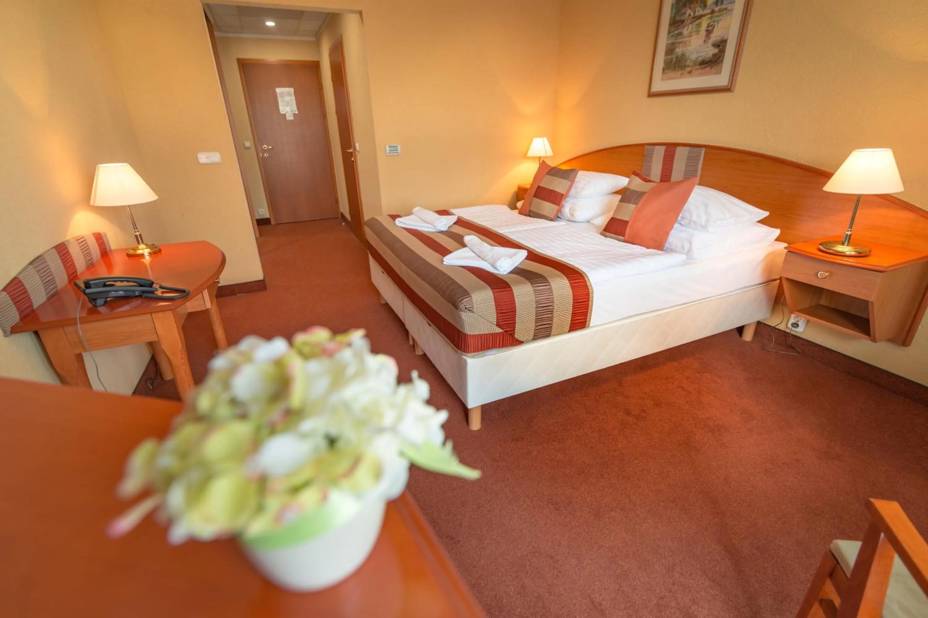 Photo of the whole room, Bed in Hotel Spa Hévíz