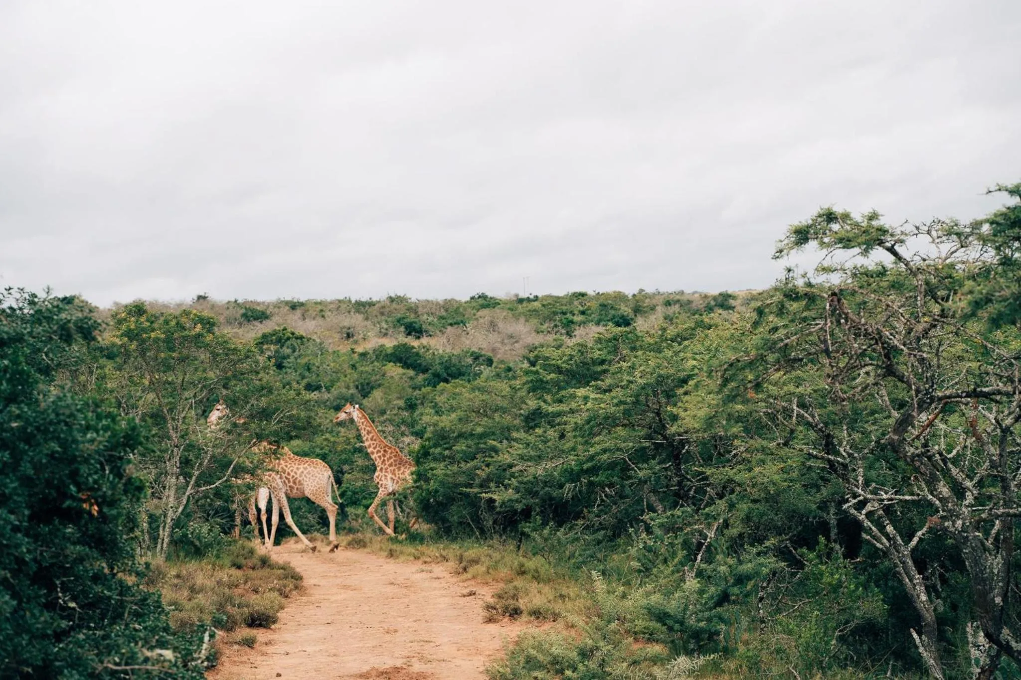 Burlington Bush Cottages by The Oyster Collection