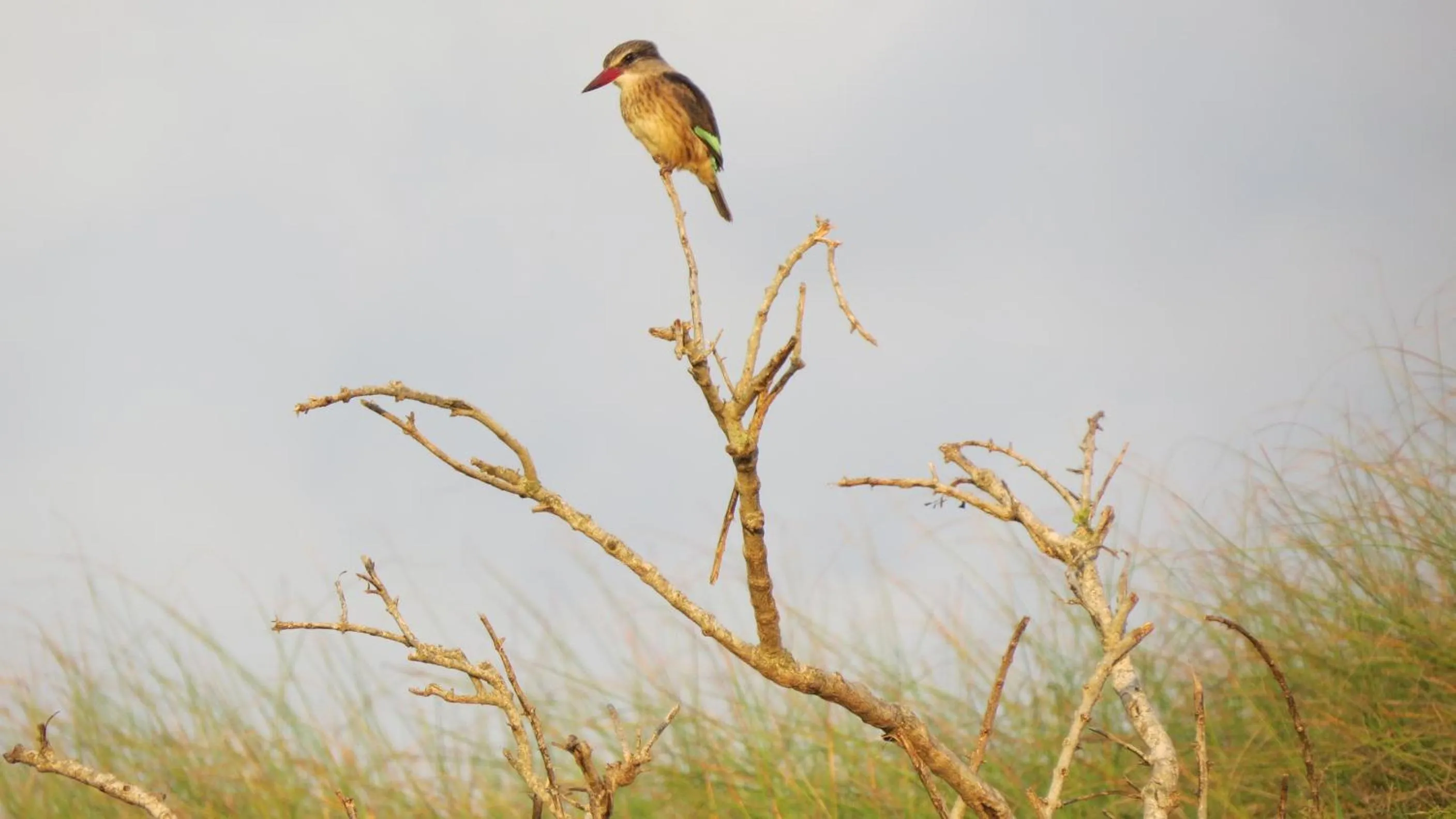 Burlington Bush Cottages by The Oyster Collection