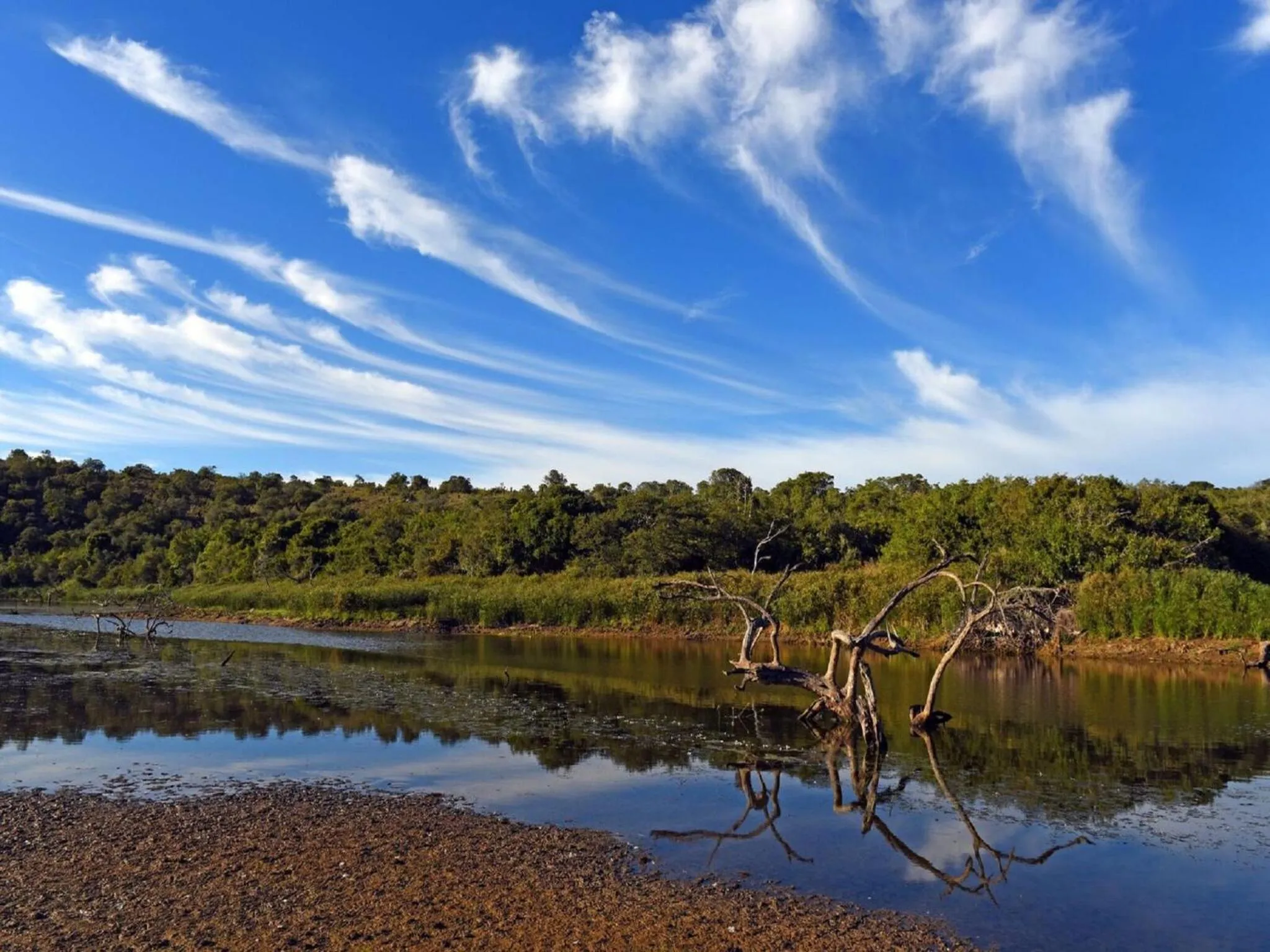 Fishing in Burlington Bush Cottages by The Oyster Collection