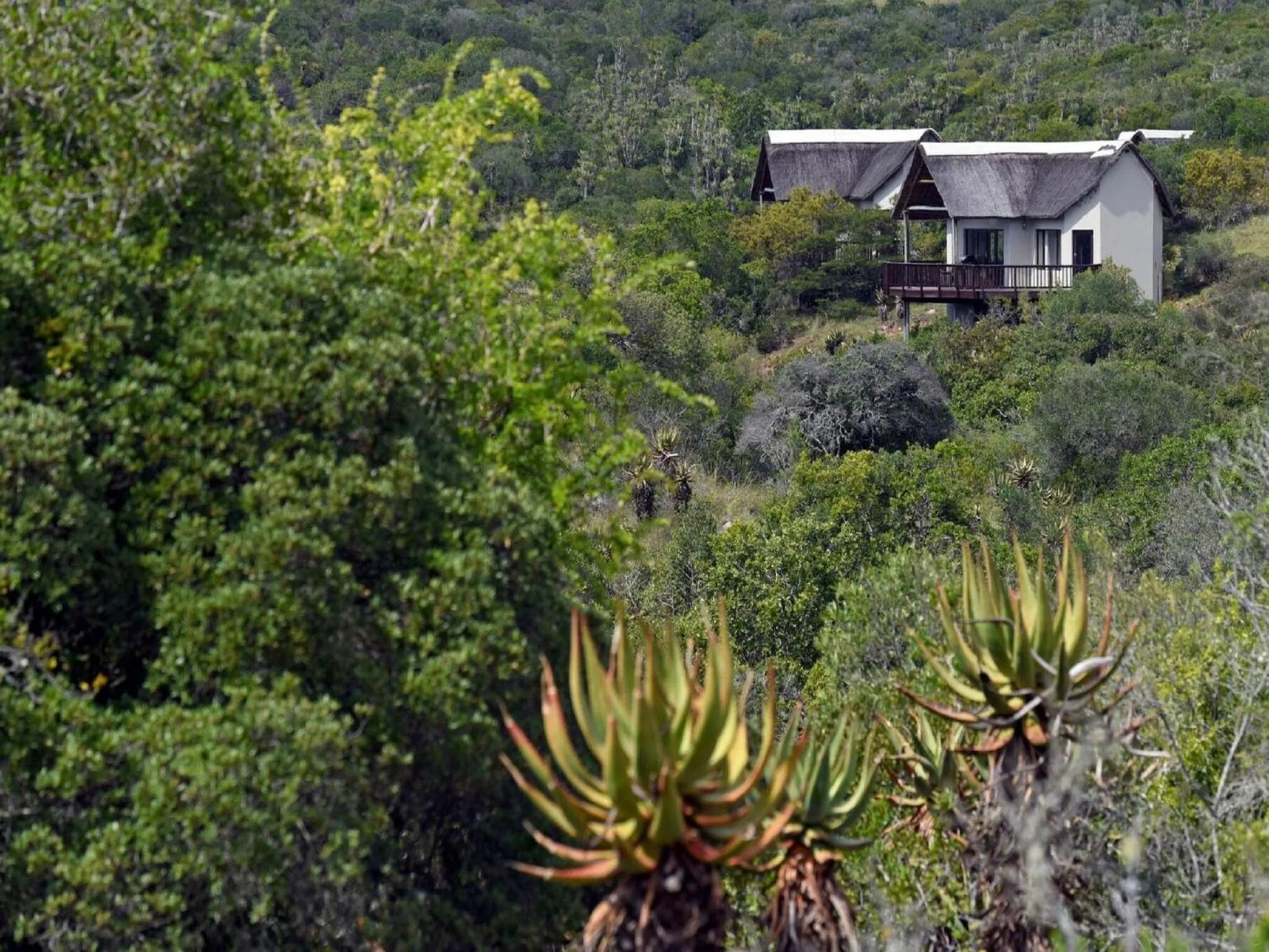 Bird's eye view in Burlington Bush Cottages by The Oyster Collection