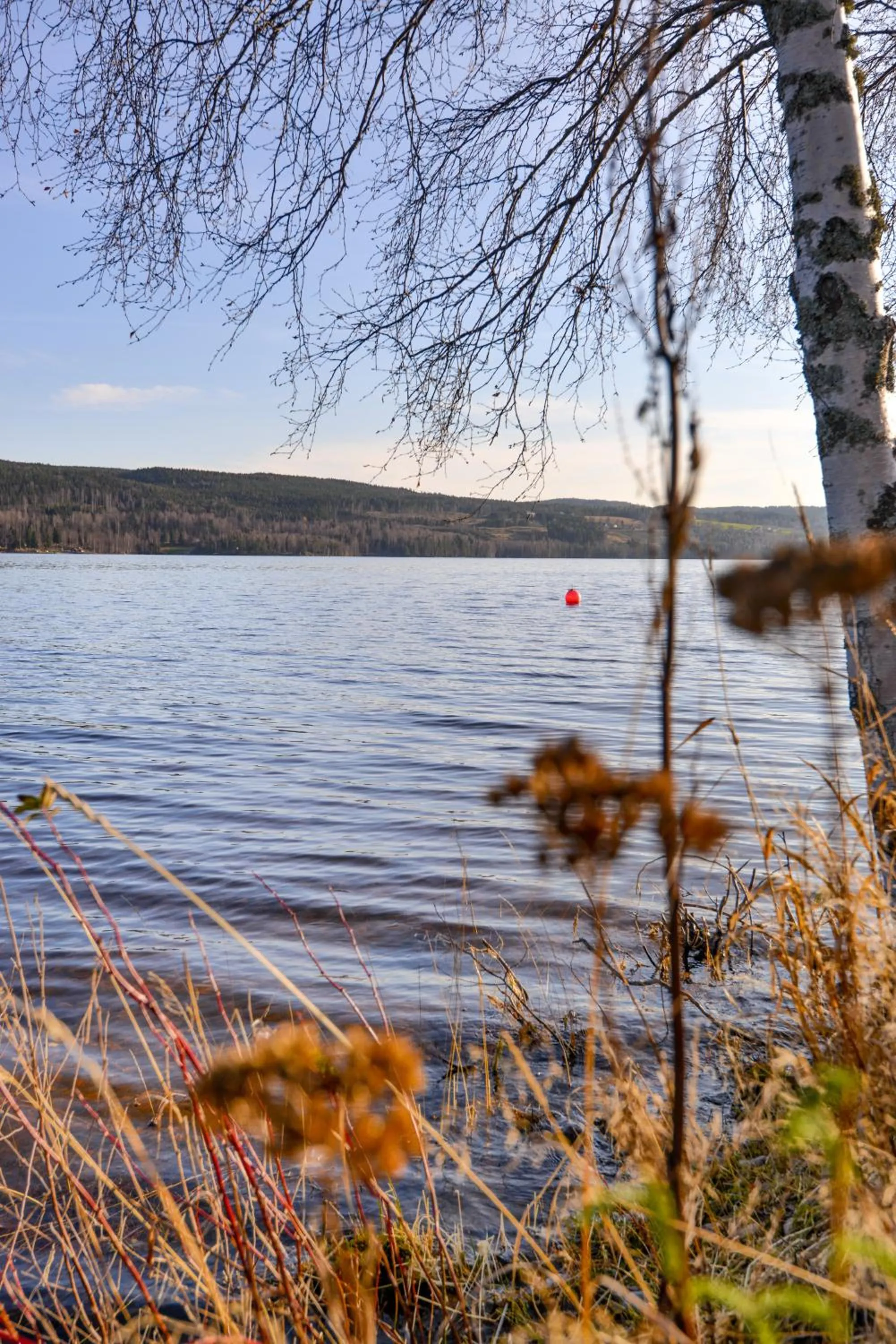 Lake view in Hurdalsjøen Hotel & Spa