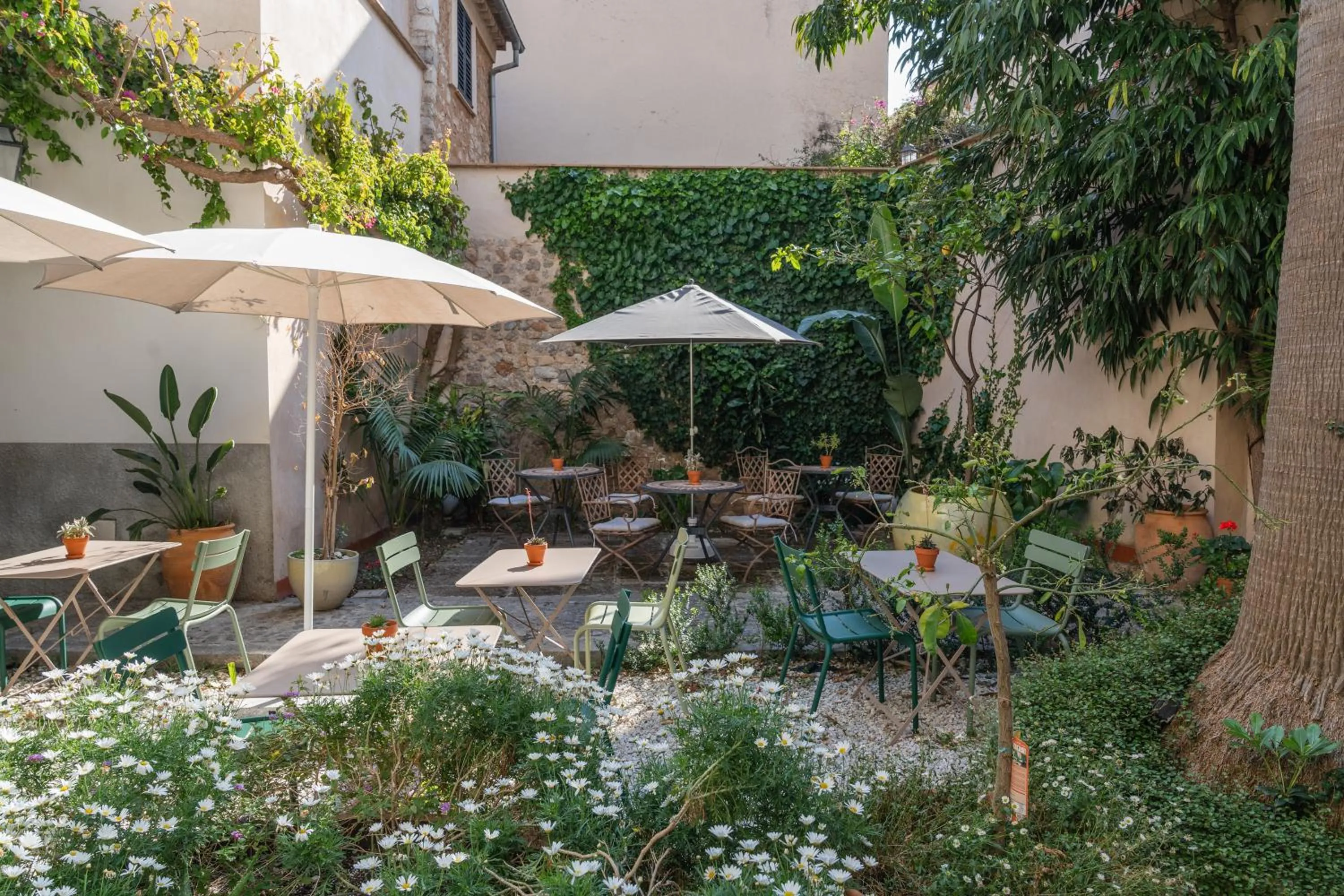 Garden in Hotel Can Abril