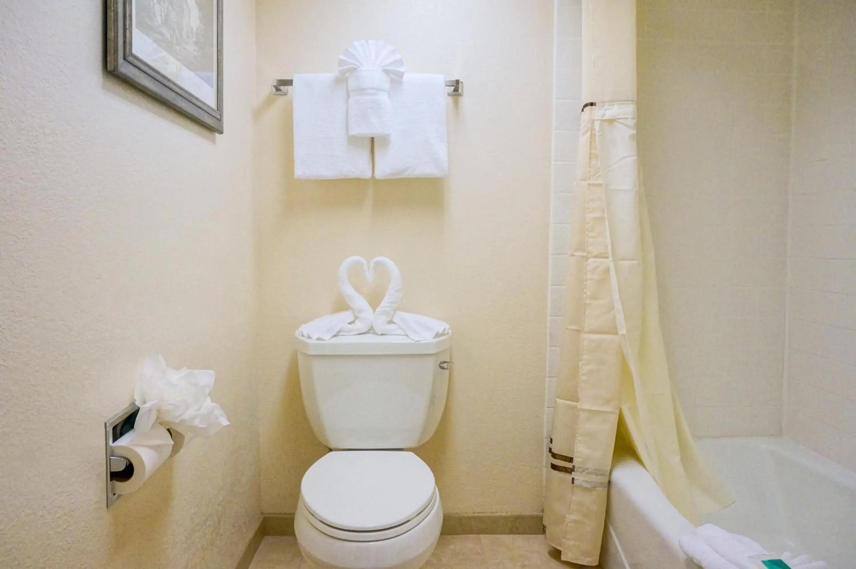 Bathroom in Castle Inn and Suites