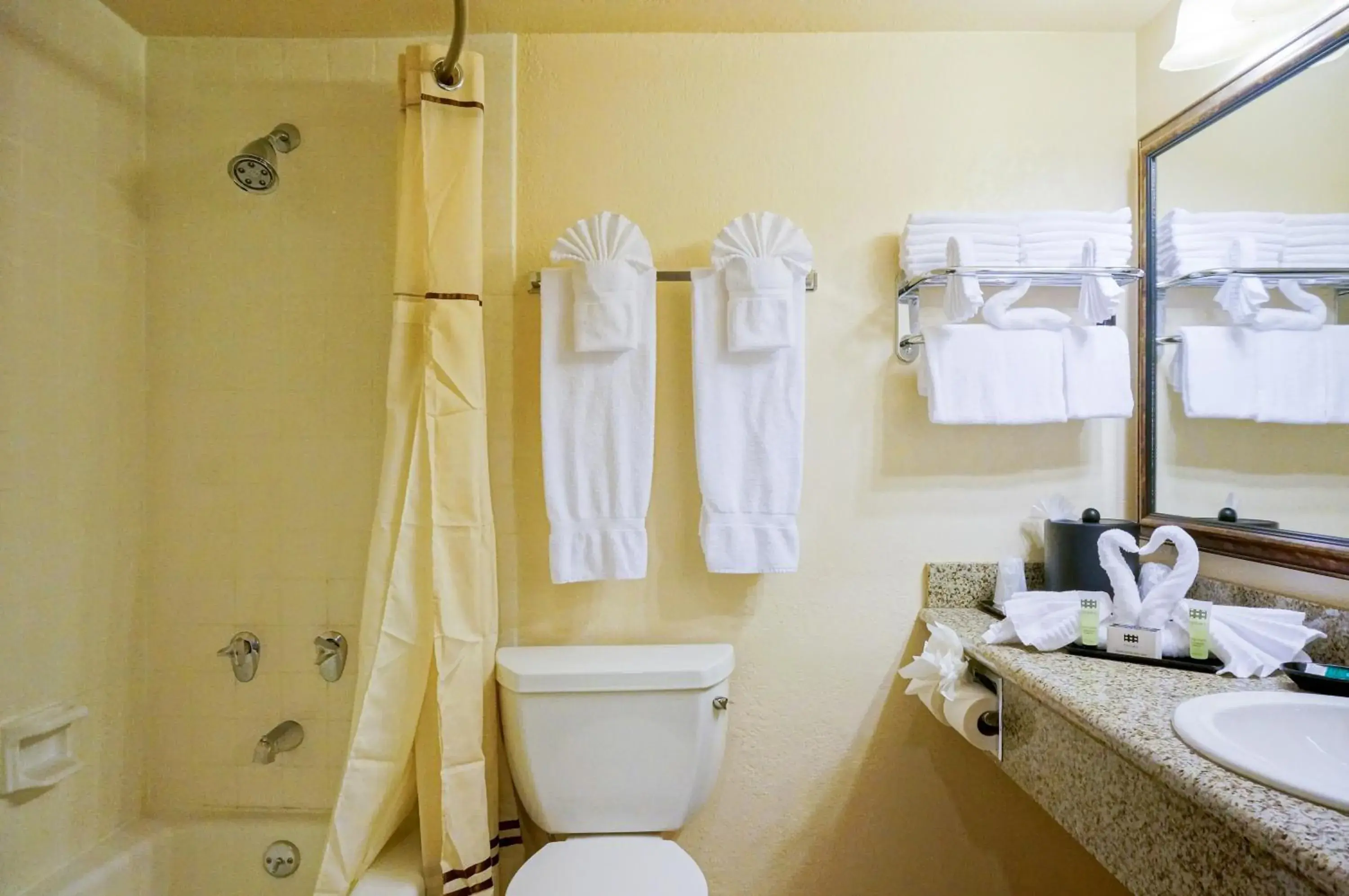 Bathroom in Castle Inn and Suites