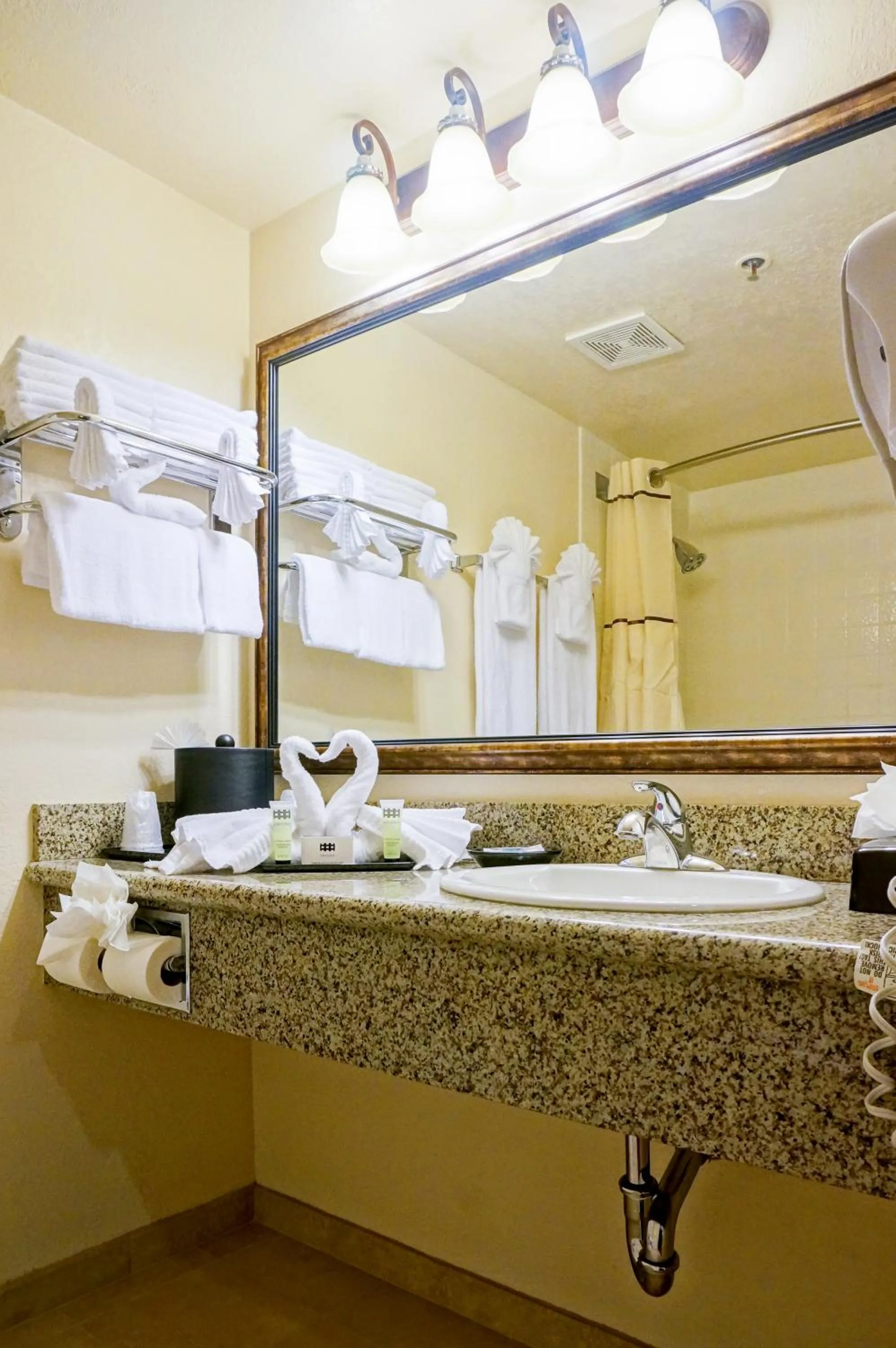 Bathroom in Castle Inn and Suites Anaheim