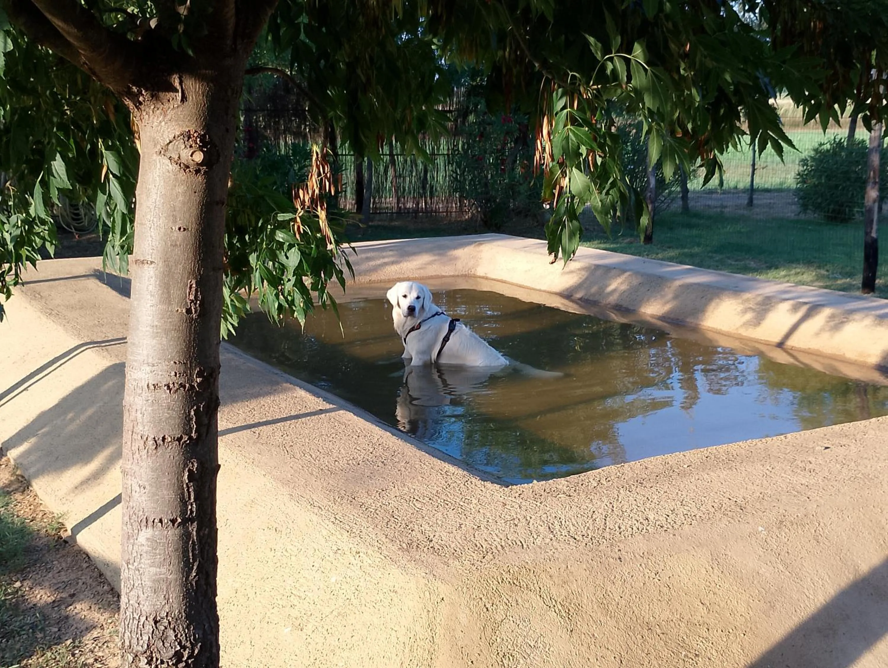 Swimming pool in Rosa Dei Venti