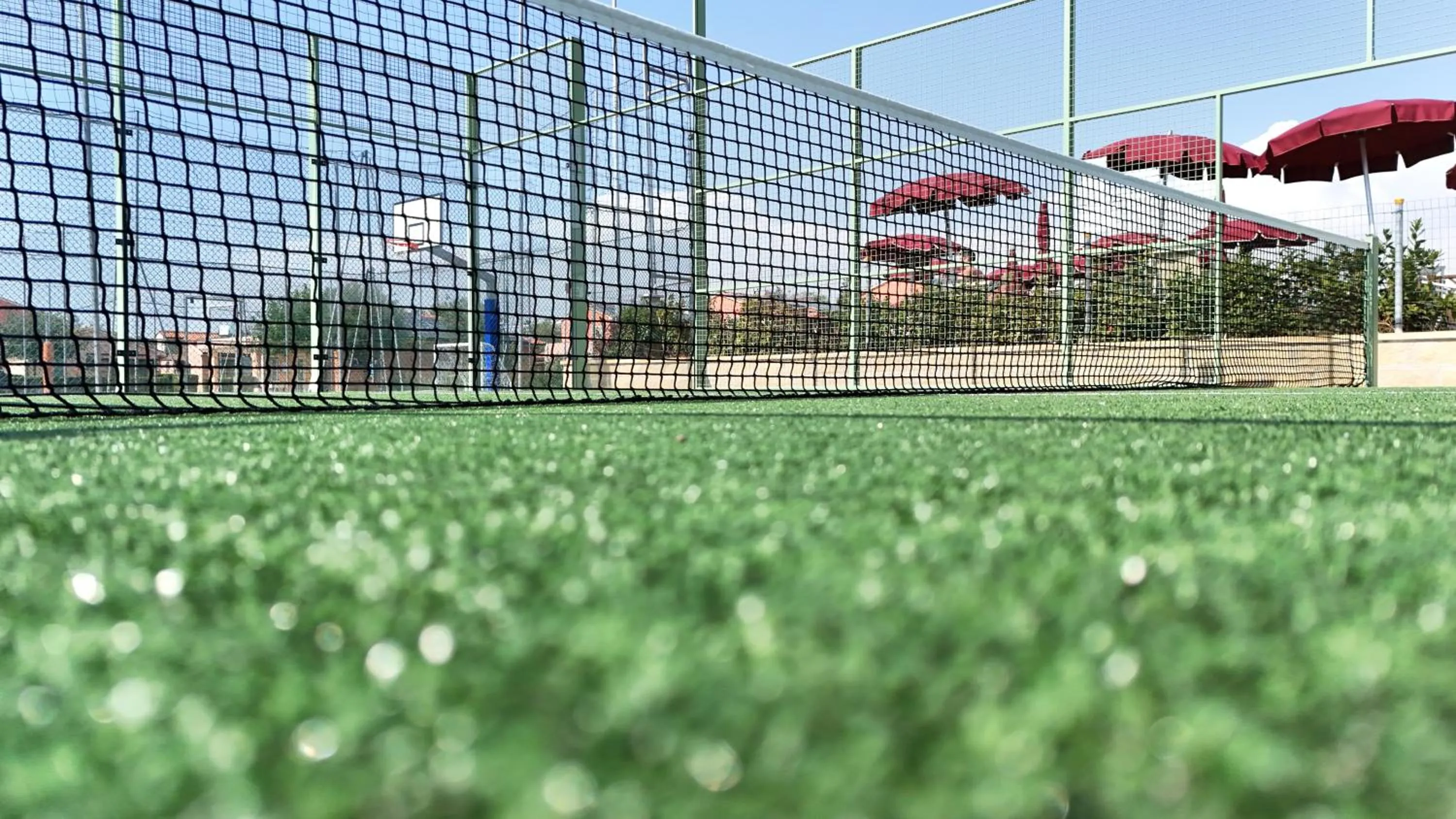 Day in Rosa Dei Venti