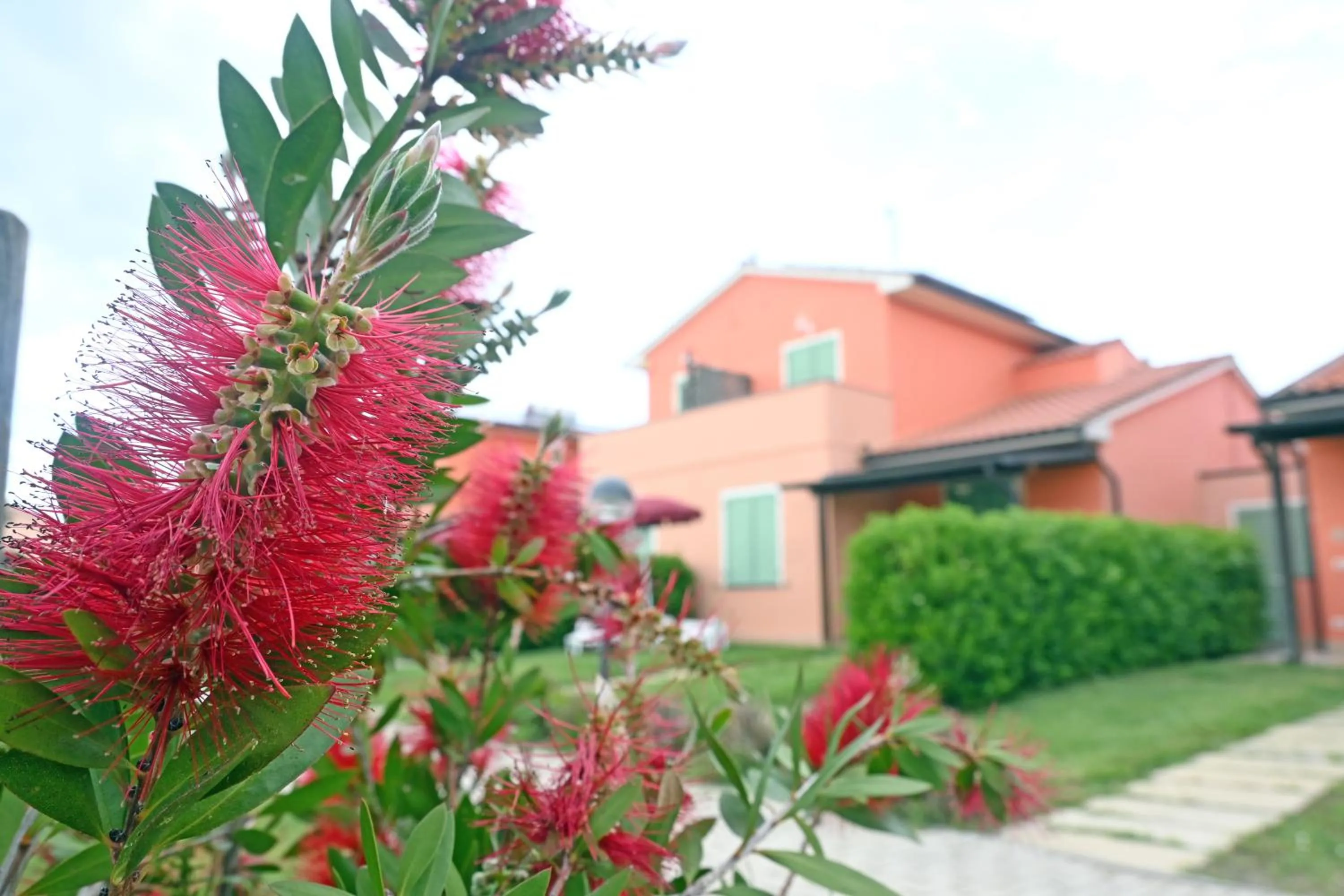 Garden in Rosa Dei Venti