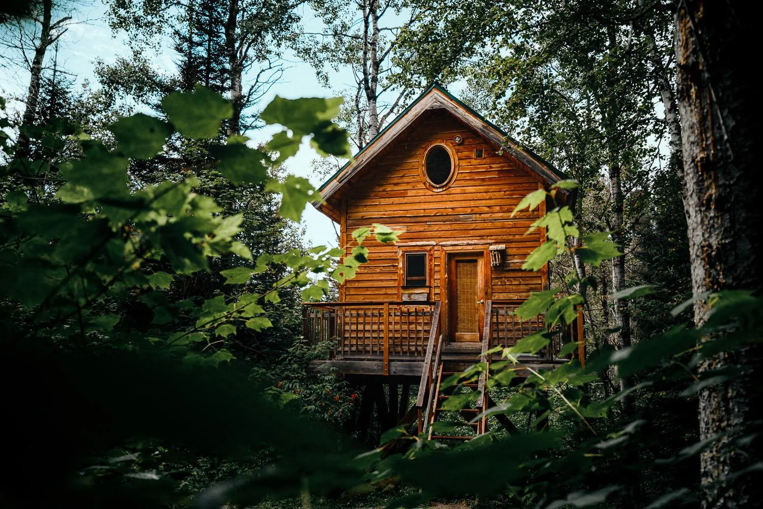 Natural landscape in Canopée Lit