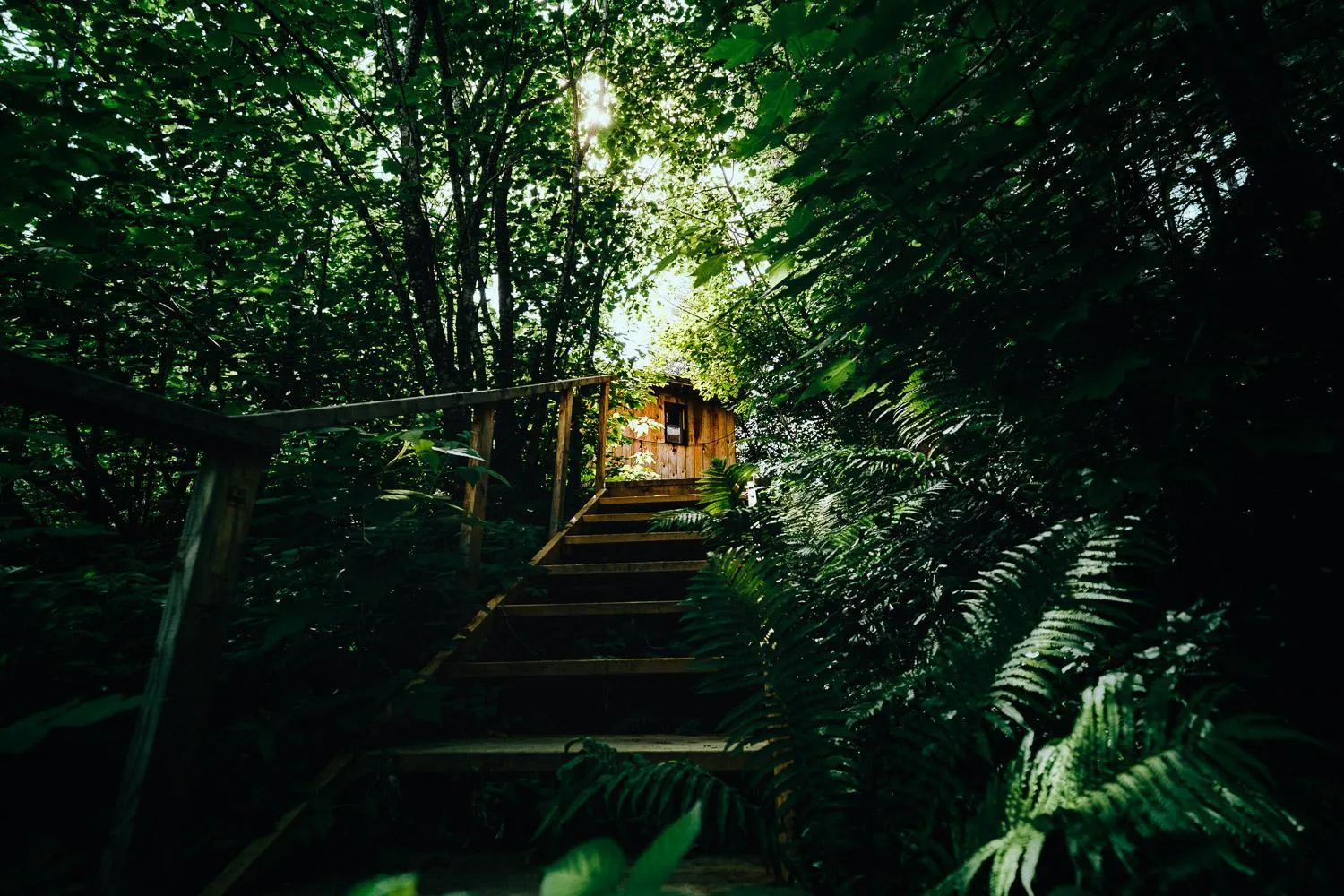 Natural landscape in Canopée Lit