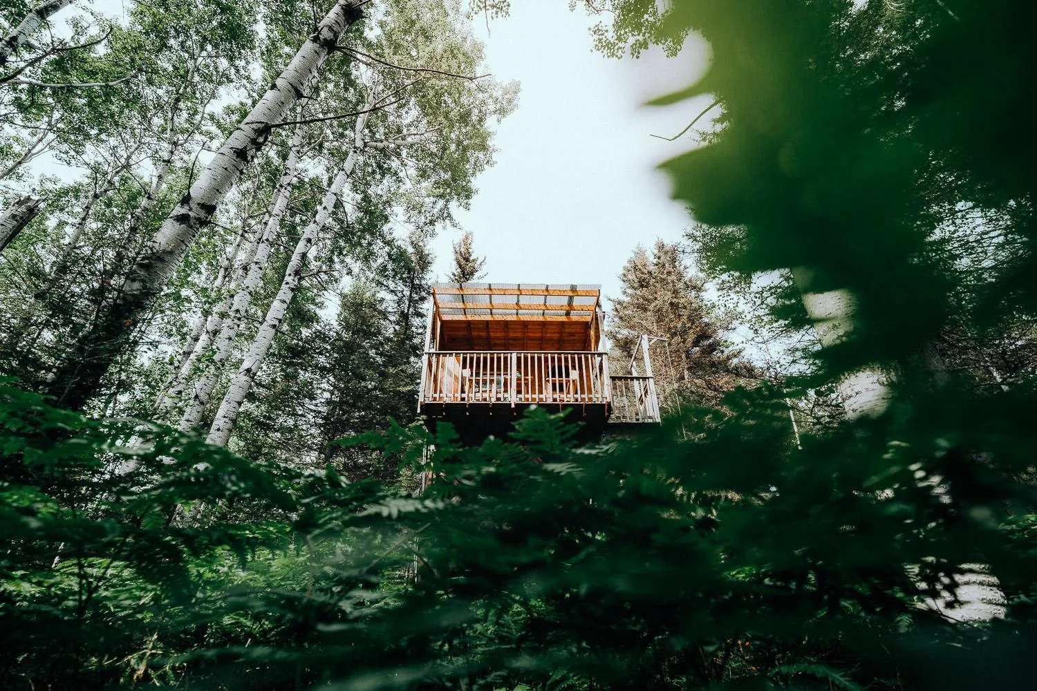Natural landscape in Canopée Lit