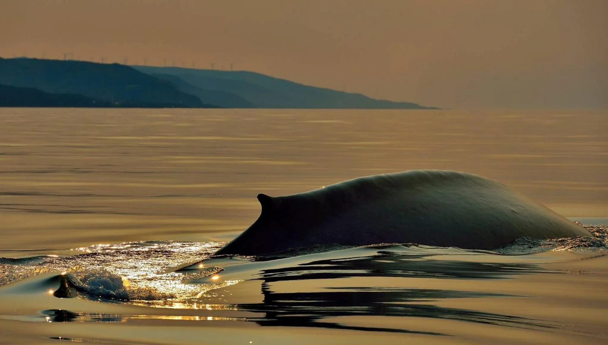 Off site in Canopée Lit