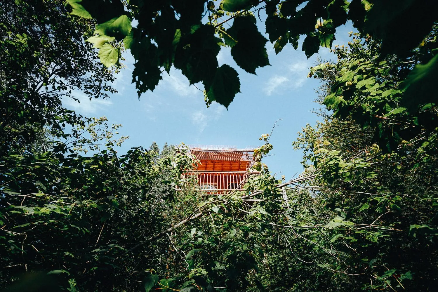Natural landscape in Canopée Lit
