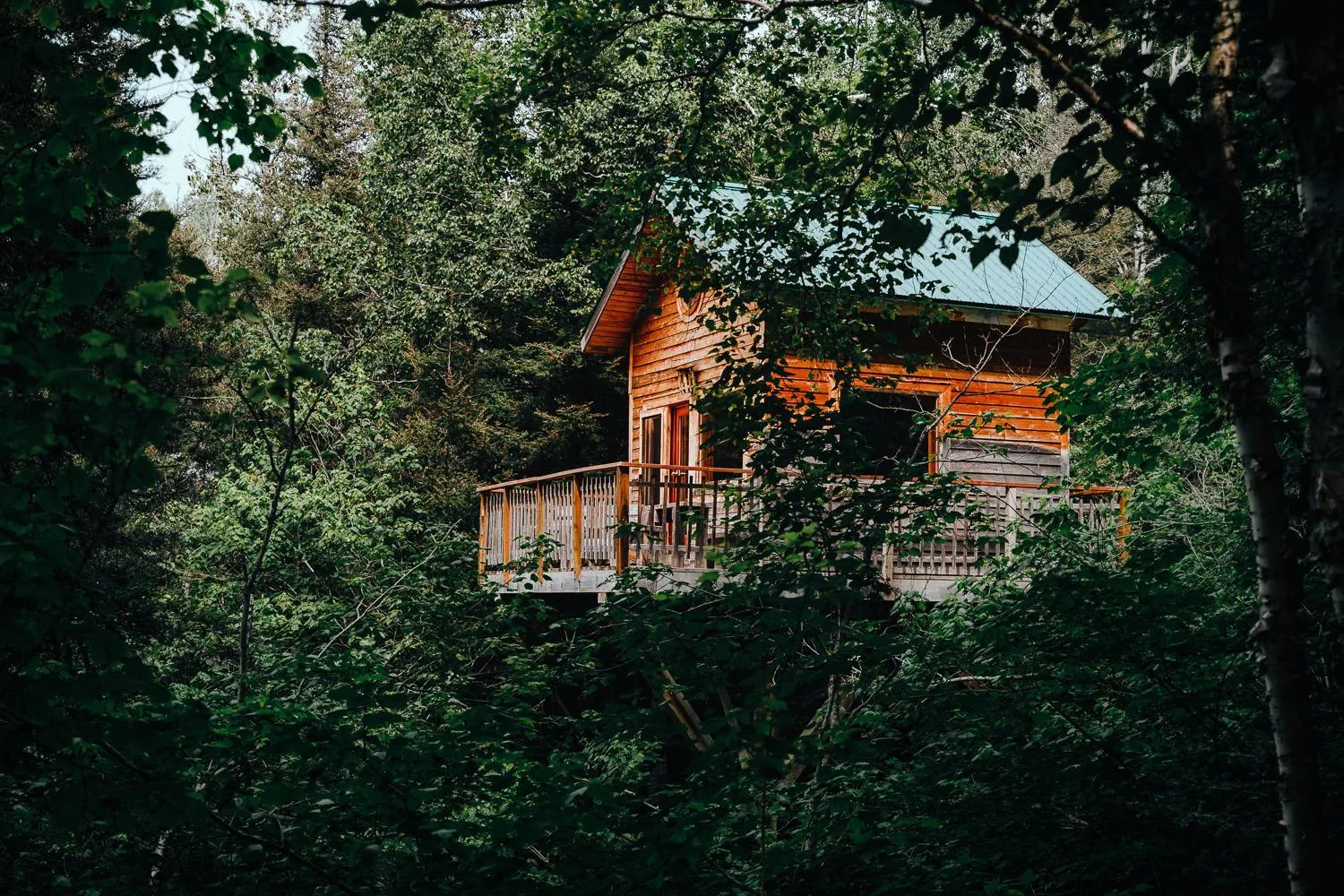 Balcony/Terrace in Canopée Lit