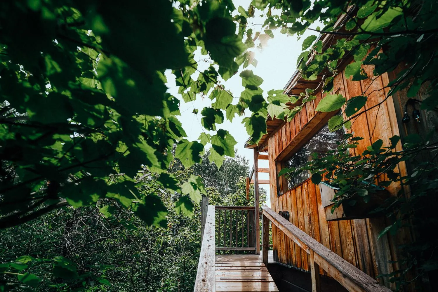 Natural landscape in Canopée Lit