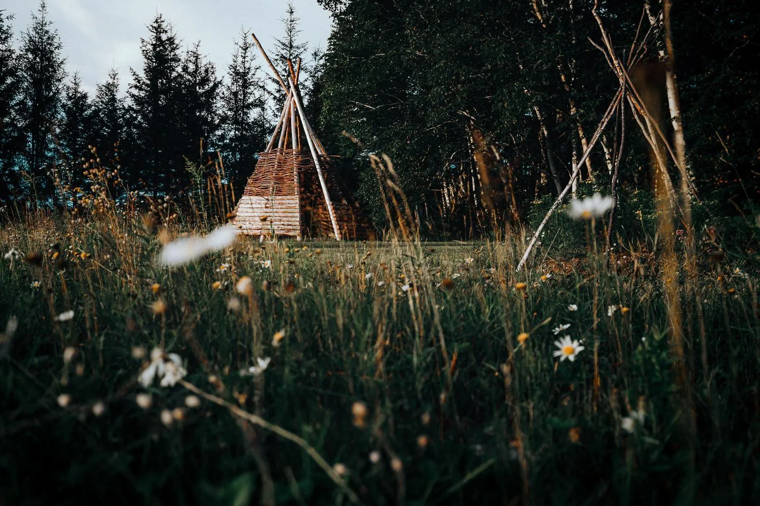 Natural landscape in Canopée Lit