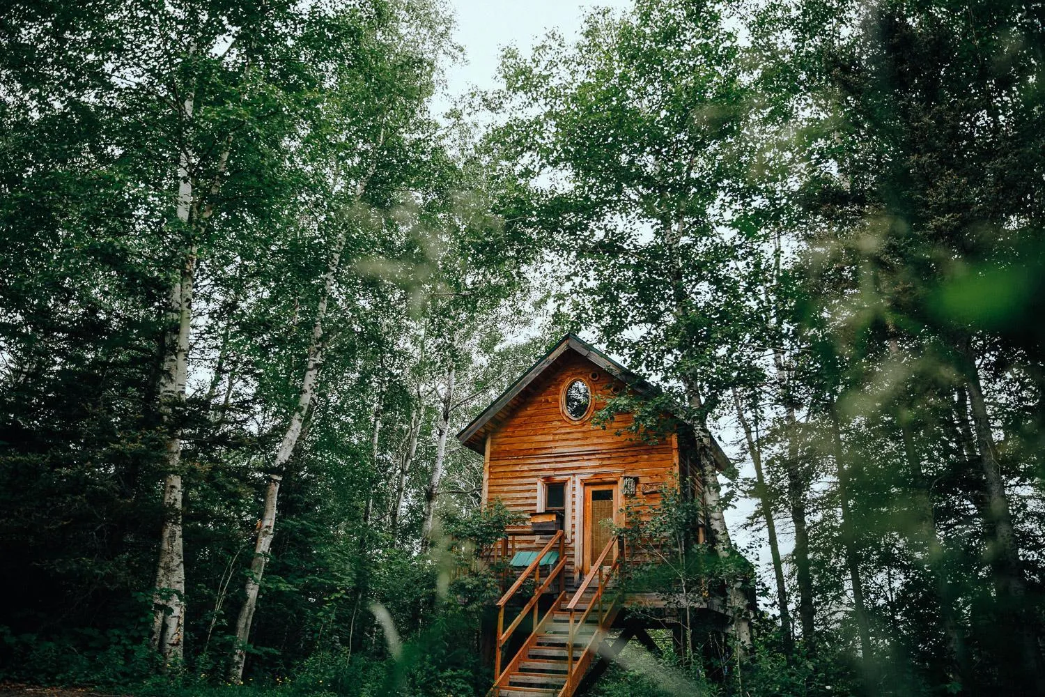 Natural landscape in Canopée Lit