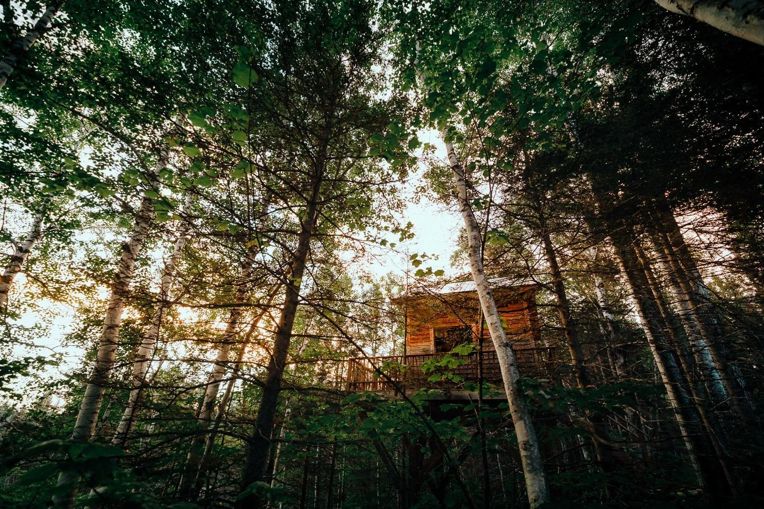 Spring in Canopée Lit