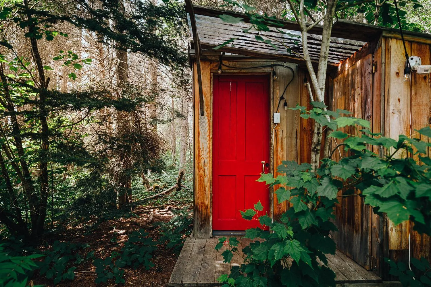 Bathroom in Canopée Lit