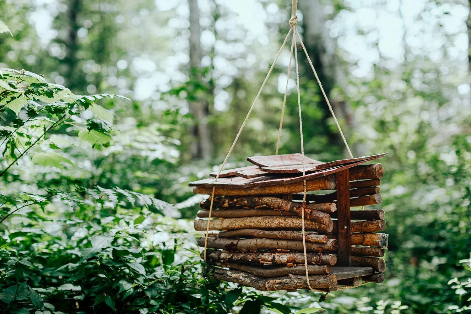 Breakfast in Canopée Lit