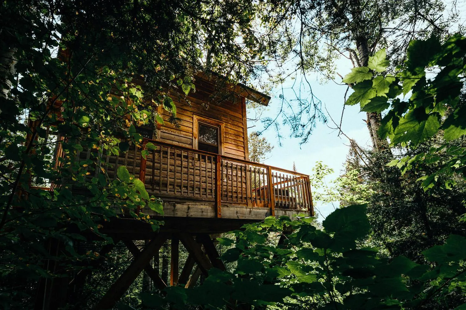 Natural landscape in Canopée Lit