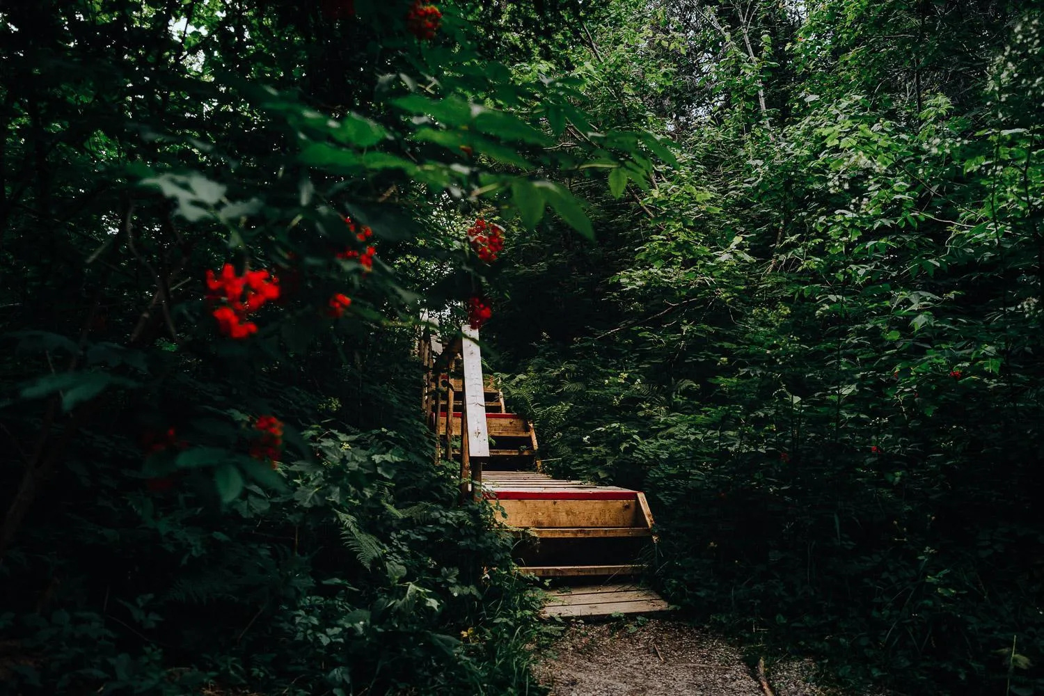 Spring in Canopée Lit