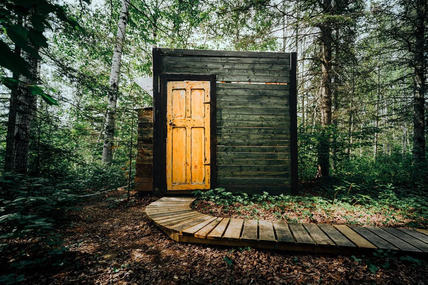 Natural landscape in Canopée Lit