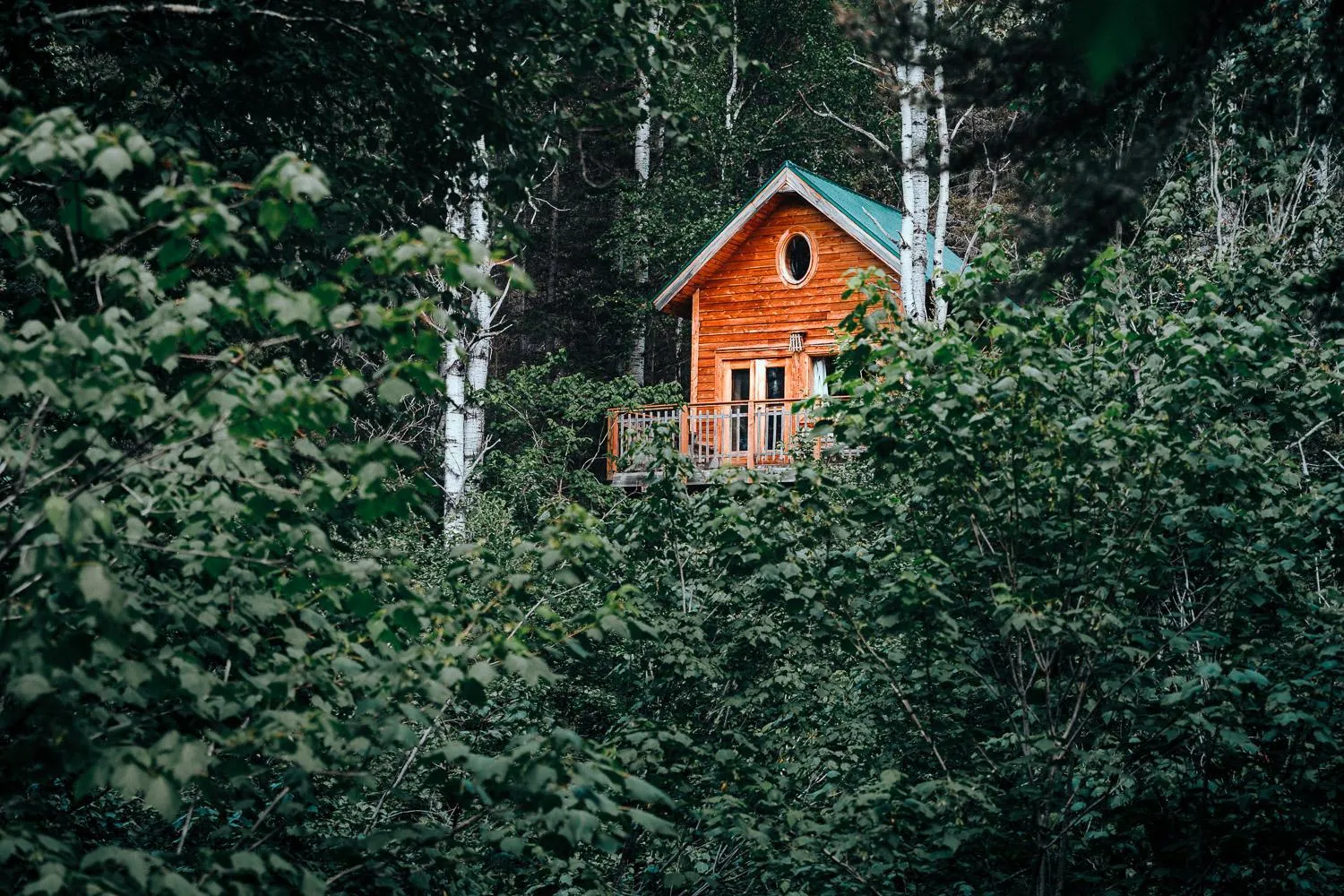 Natural landscape in Canopée Lit