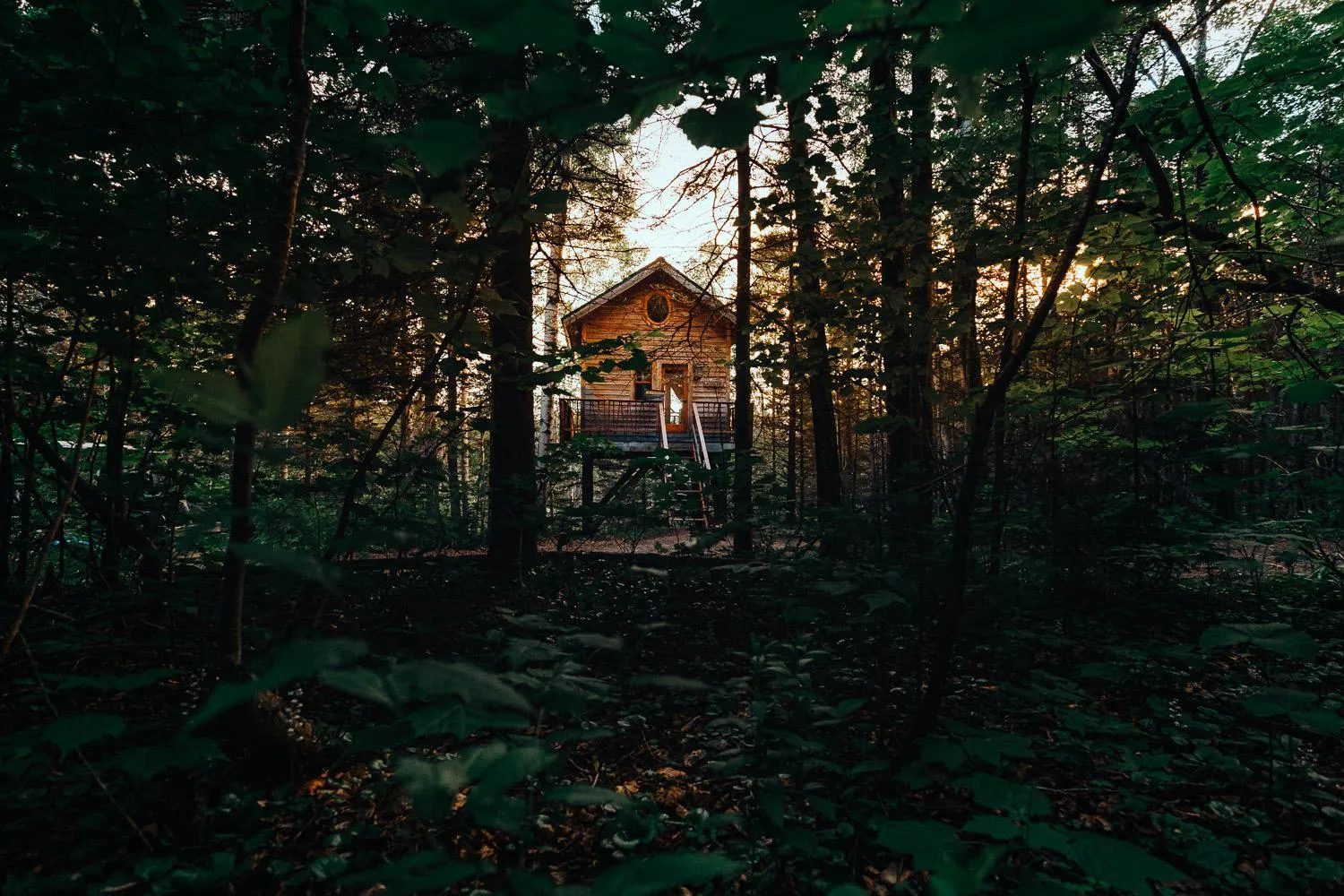 Spring in Canopée Lit