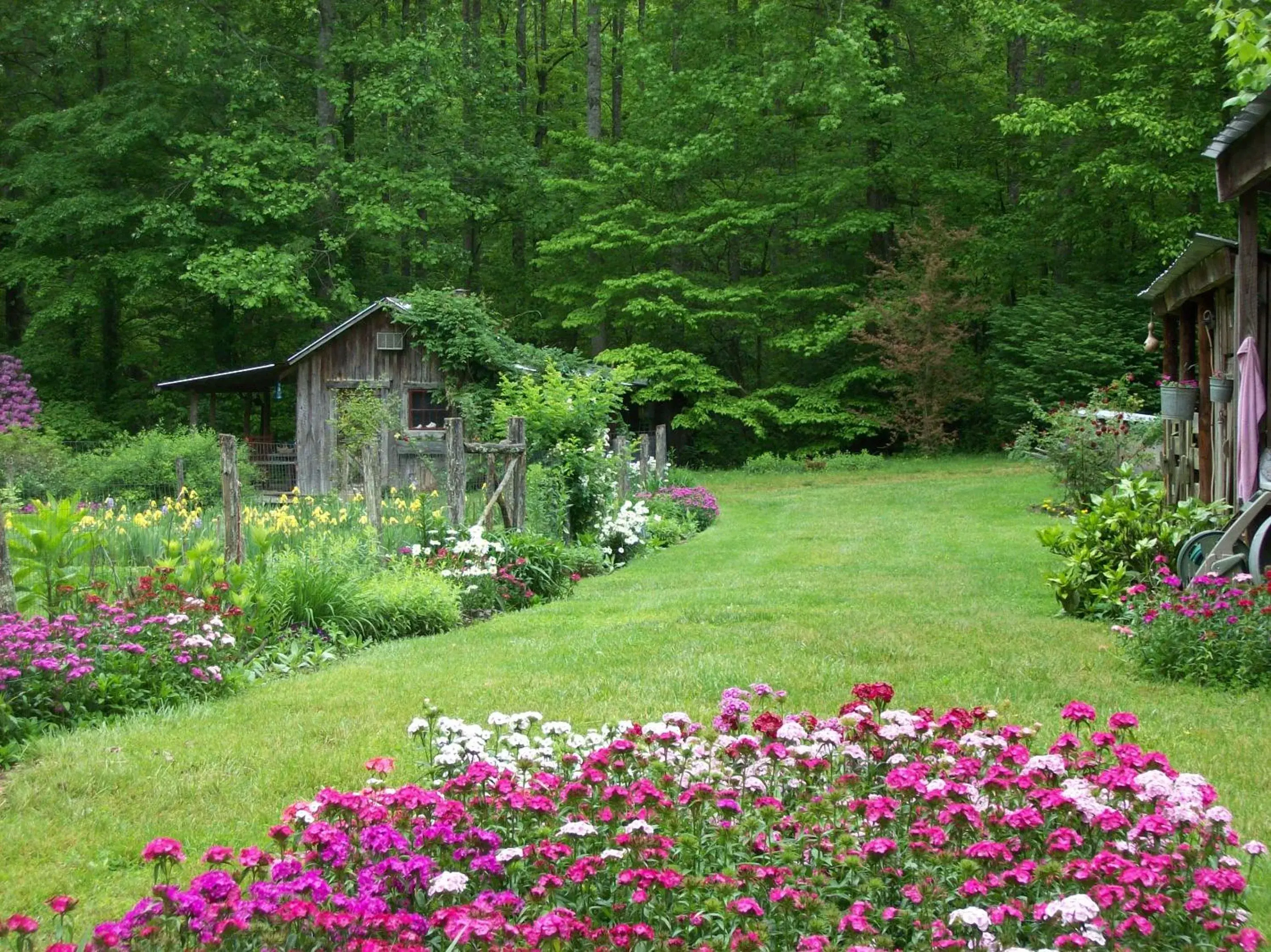 Garden of Eden Cabins Garden of Eden Cabins