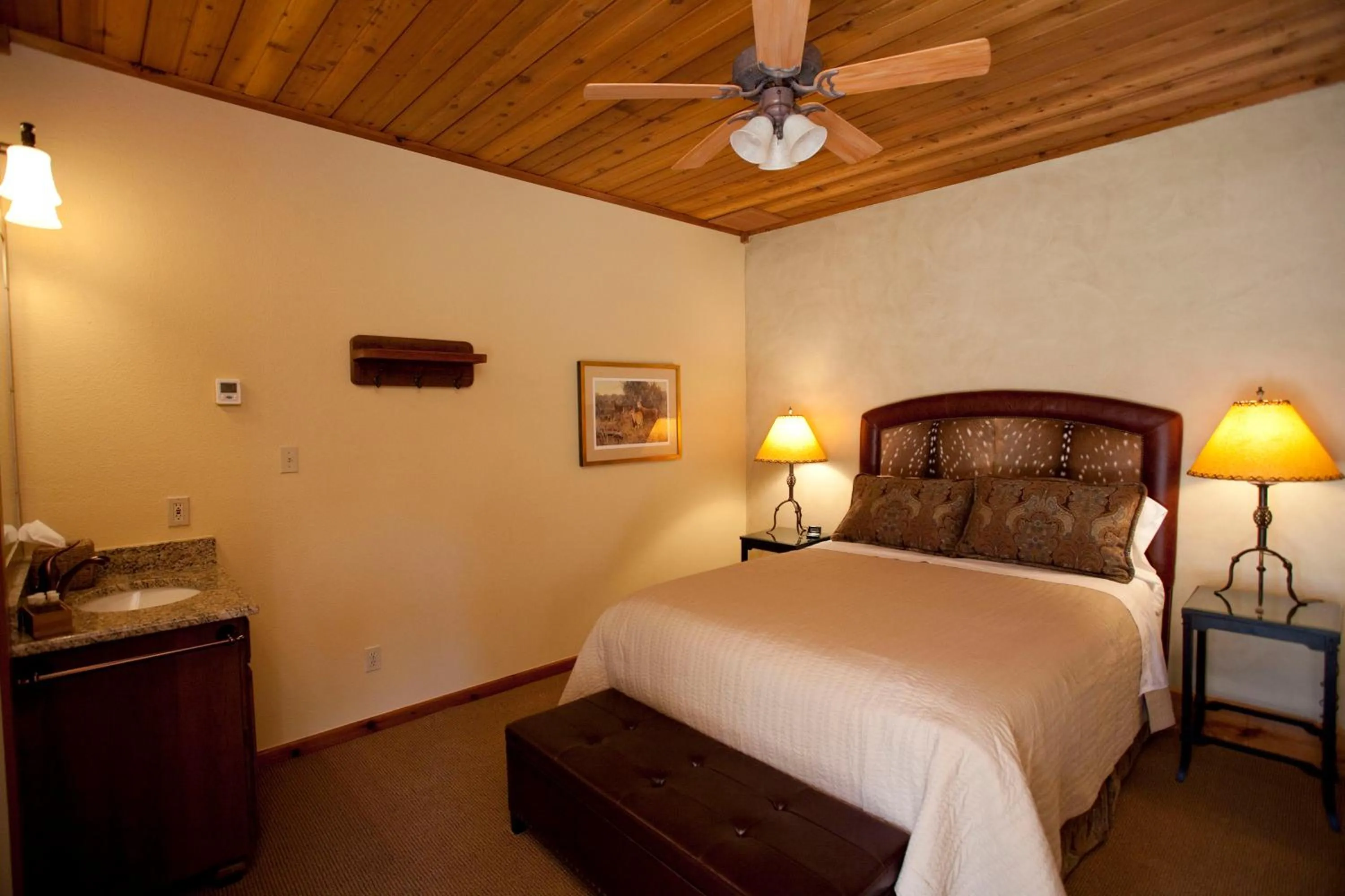 Bed in Joshua Creek Ranch