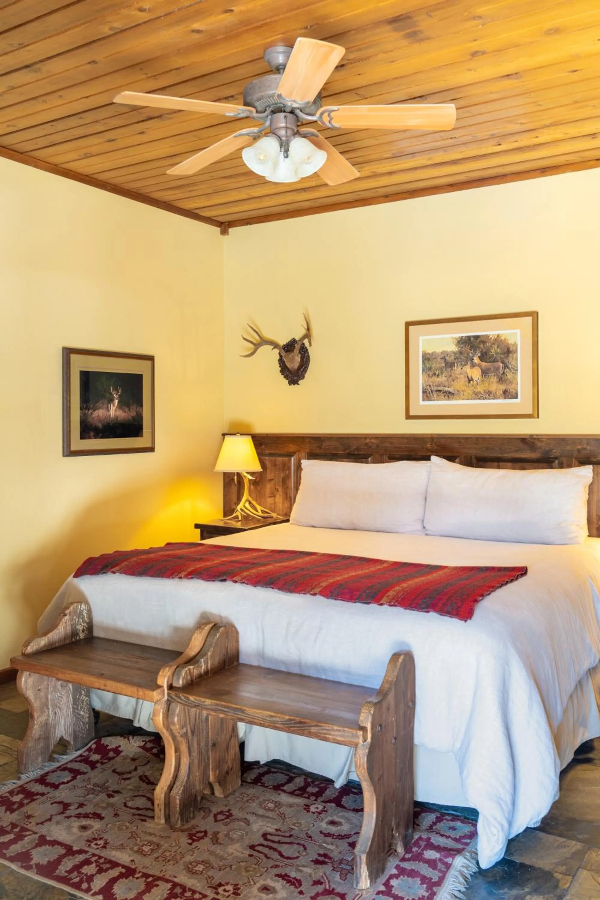 Bed in Joshua Creek Ranch