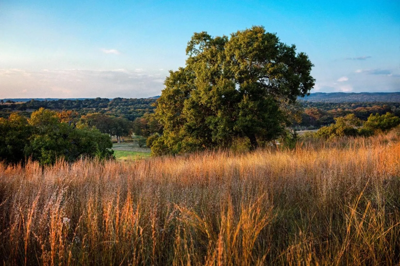 Natural landscape in Joshua Creek Ranch