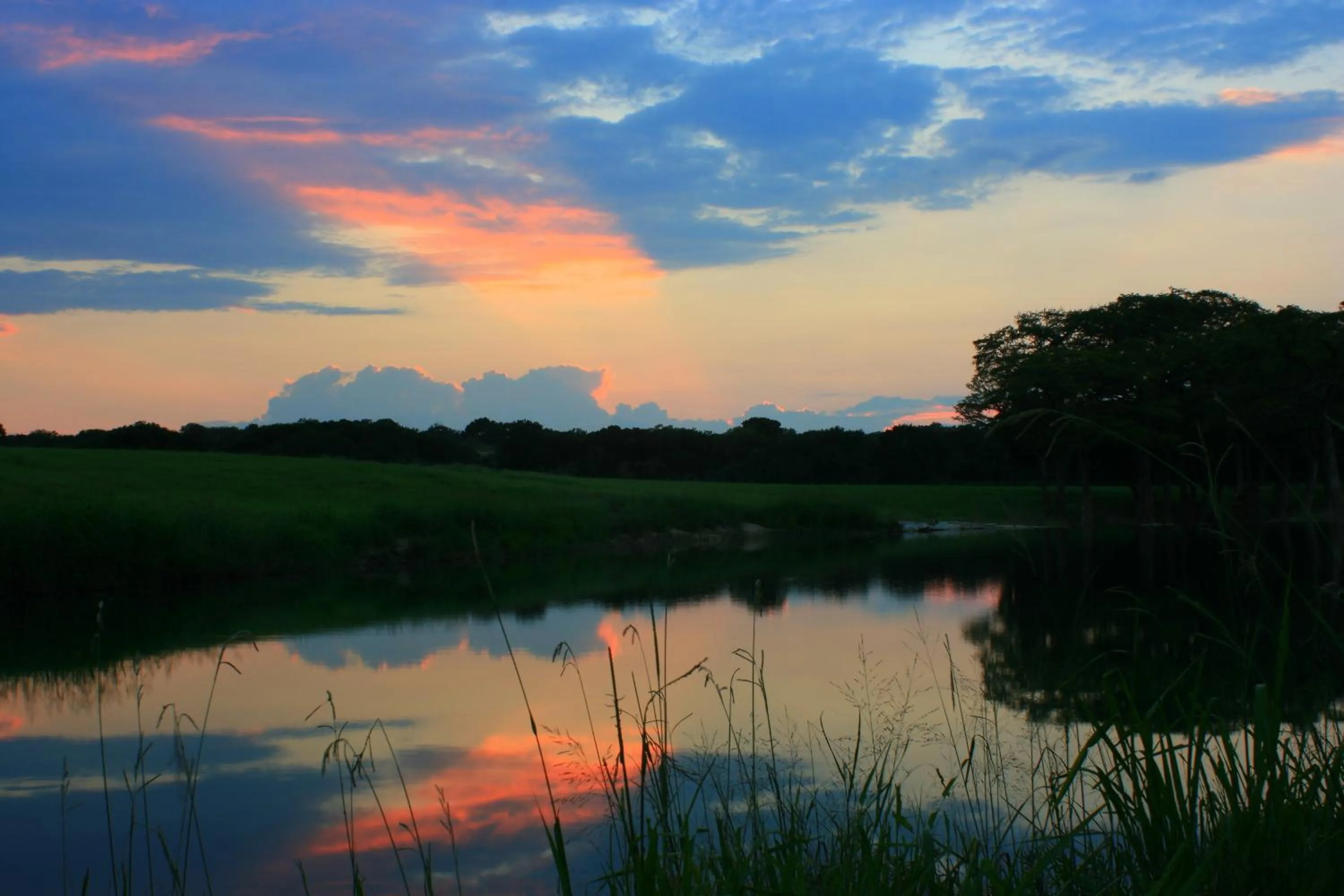 Lake view in Joshua Creek Ranch