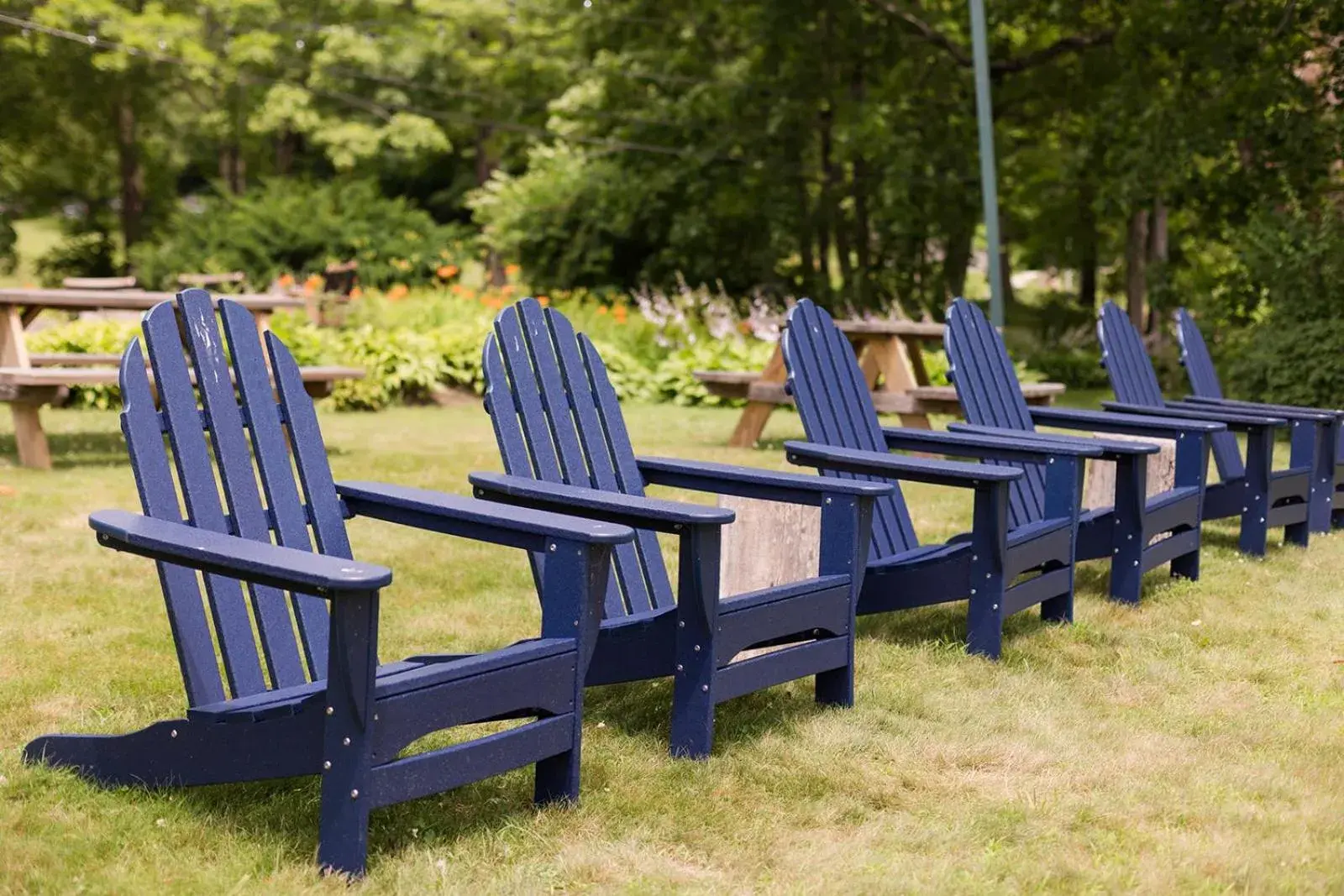 sunbed in Apple Tree Inn sunbed in Apple Tree Inn