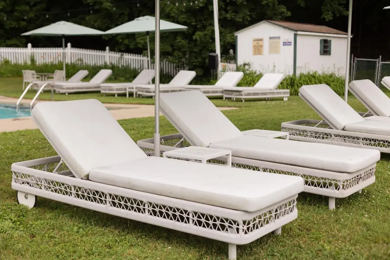 Pool view in Apple Tree Inn Pool view in Apple Tree Inn