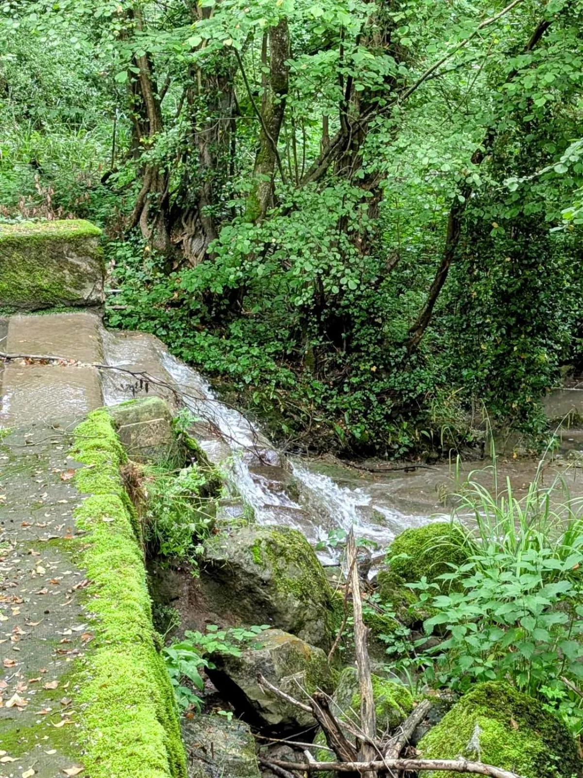 Spring in Hotel Thonon Centre Le Comte Rouge