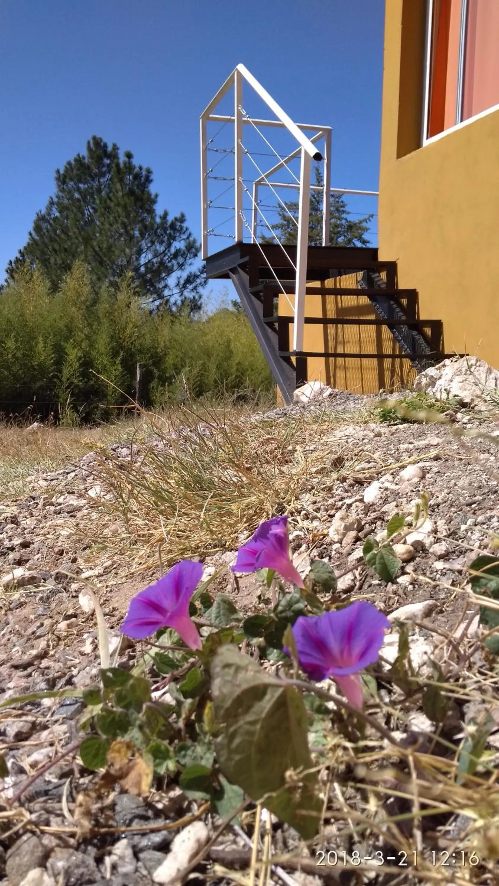 Property building in Terrazas de Nahuascat