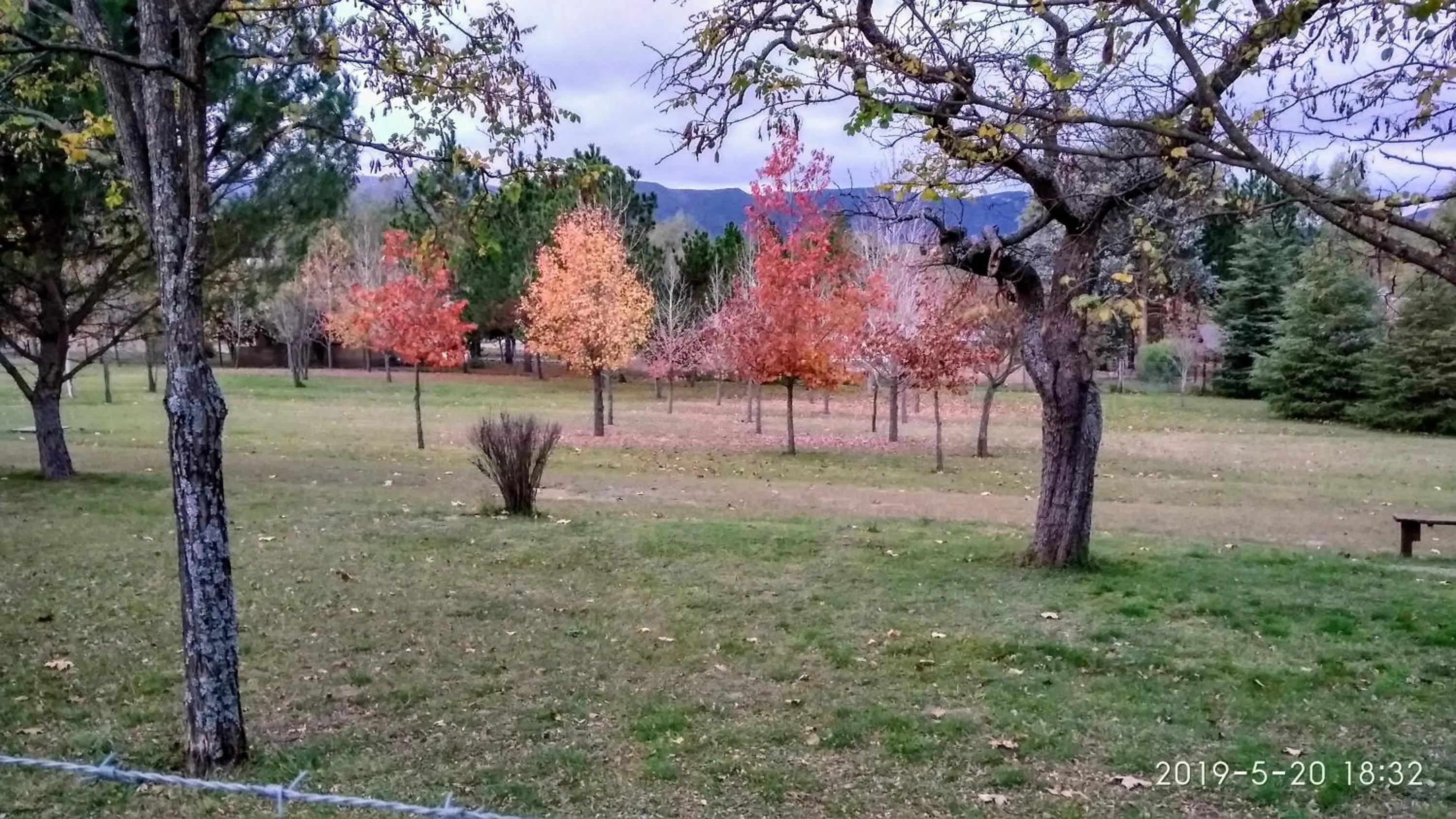 Garden in Terrazas de Nahuascat