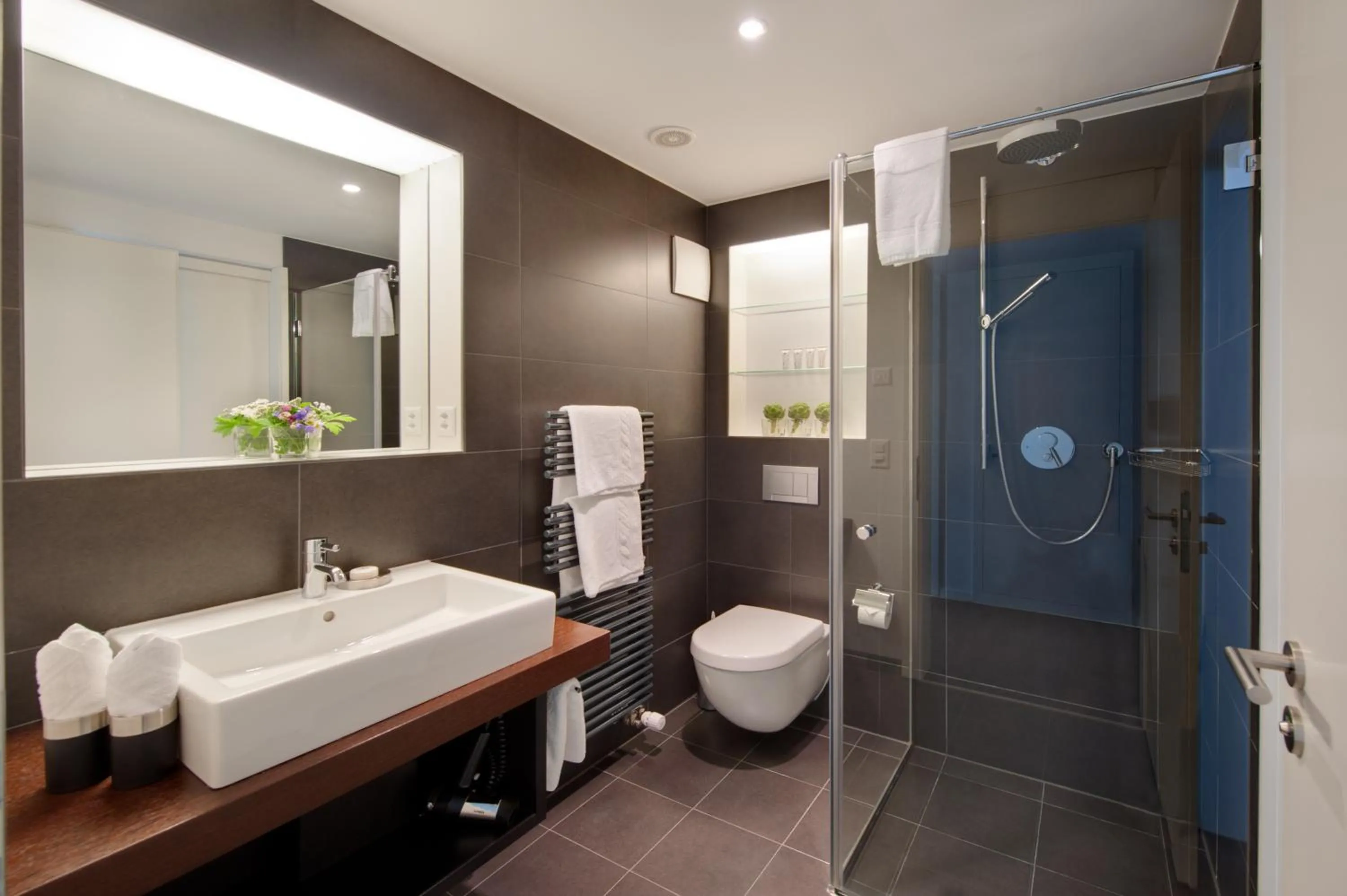 Shower in Chalet Altesse - Premium Apartments