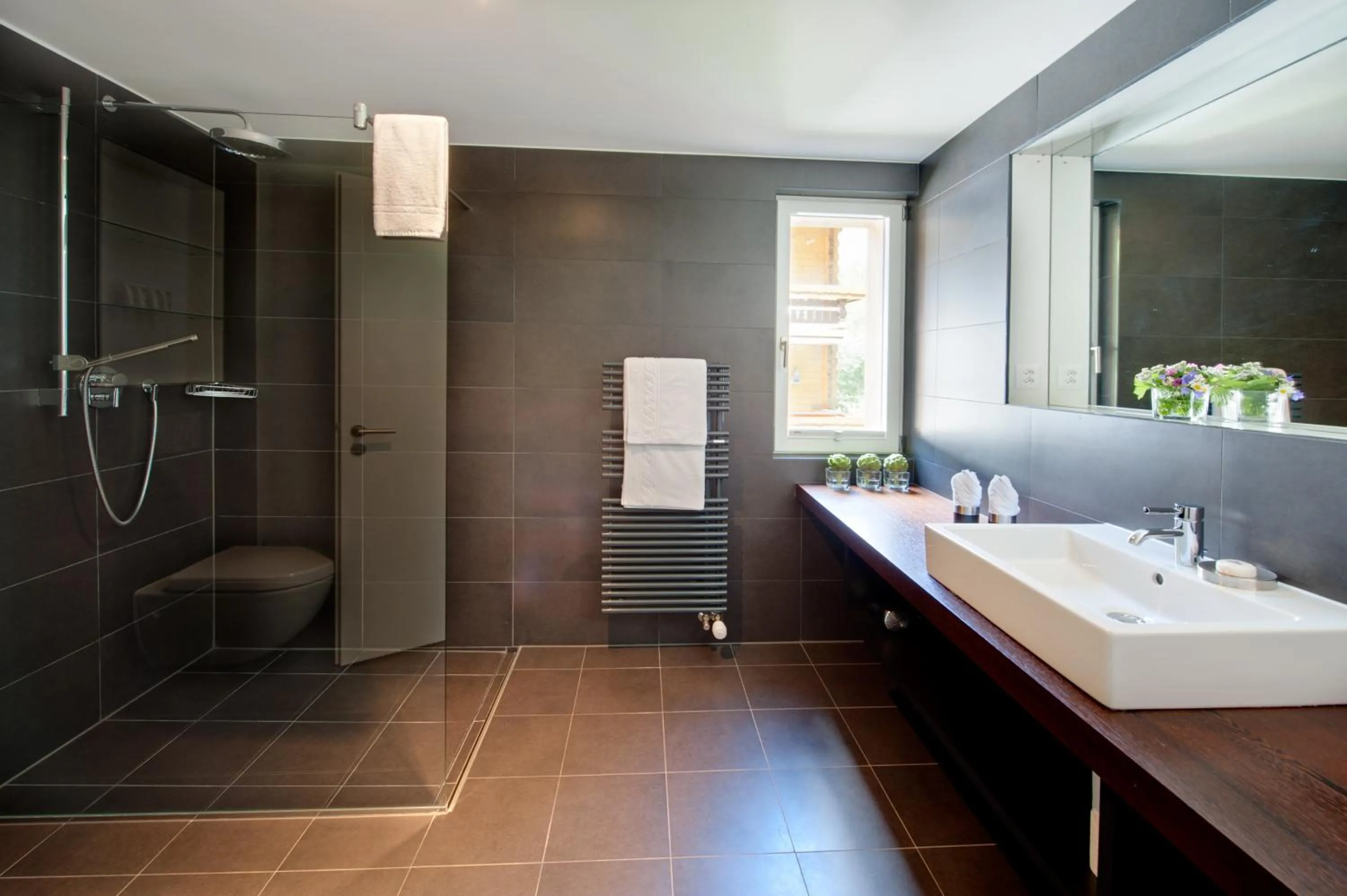 Shower in Chalet Altesse - Premium Apartments