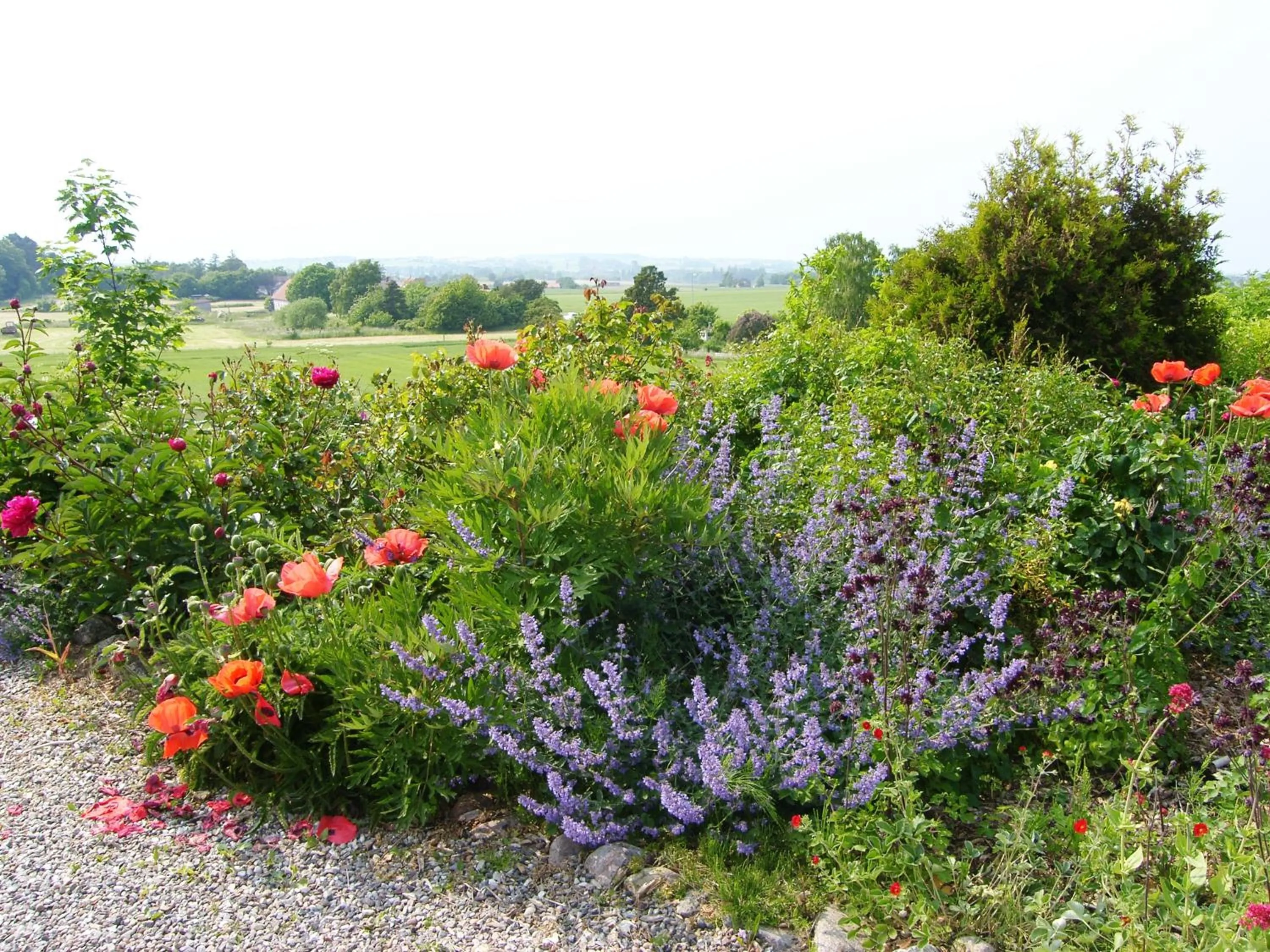 Day in Møn Klintholm Vintage B&B