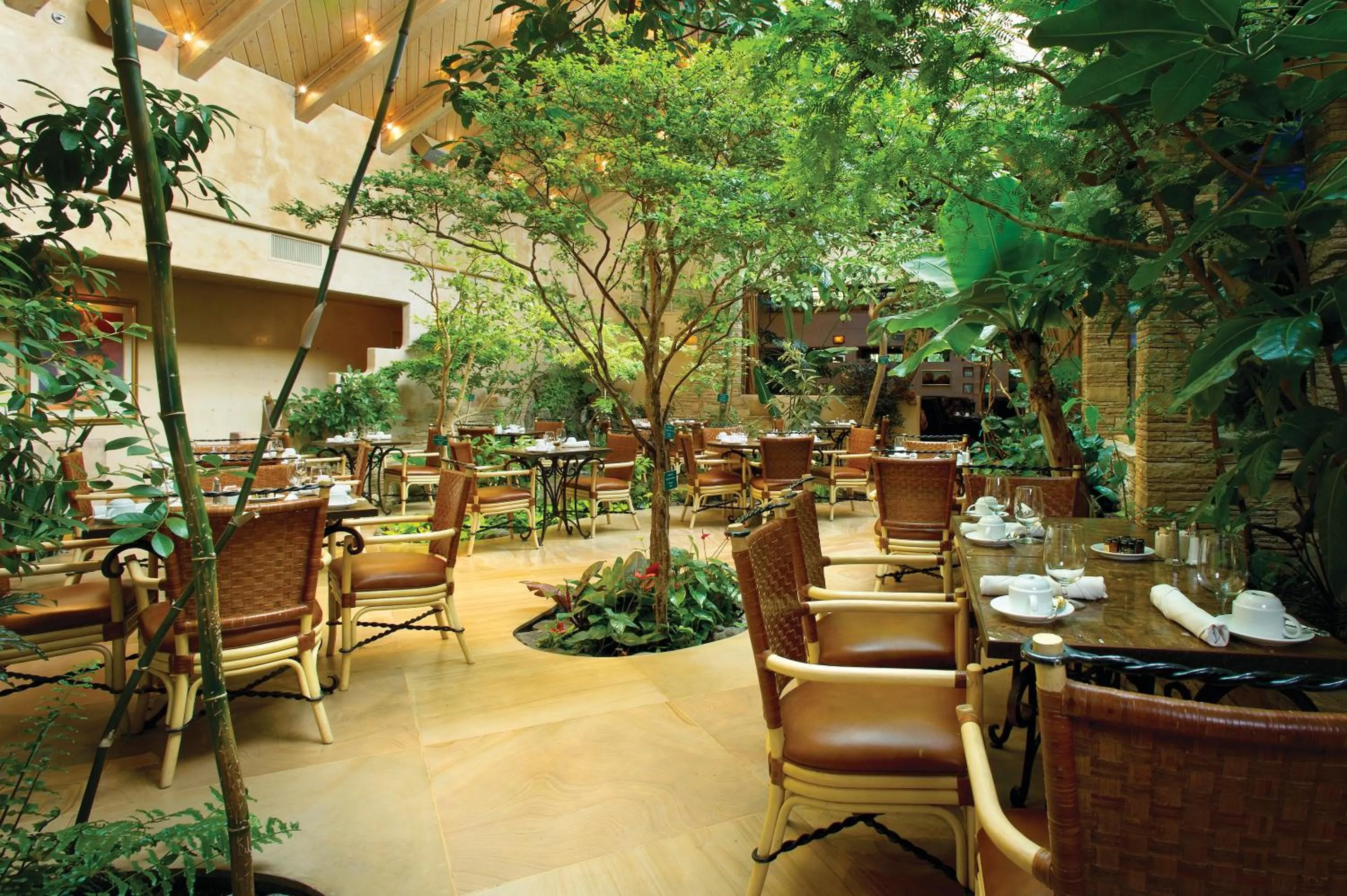 Restaurant/places to eat in El Monte Sagrado Resort & Spa