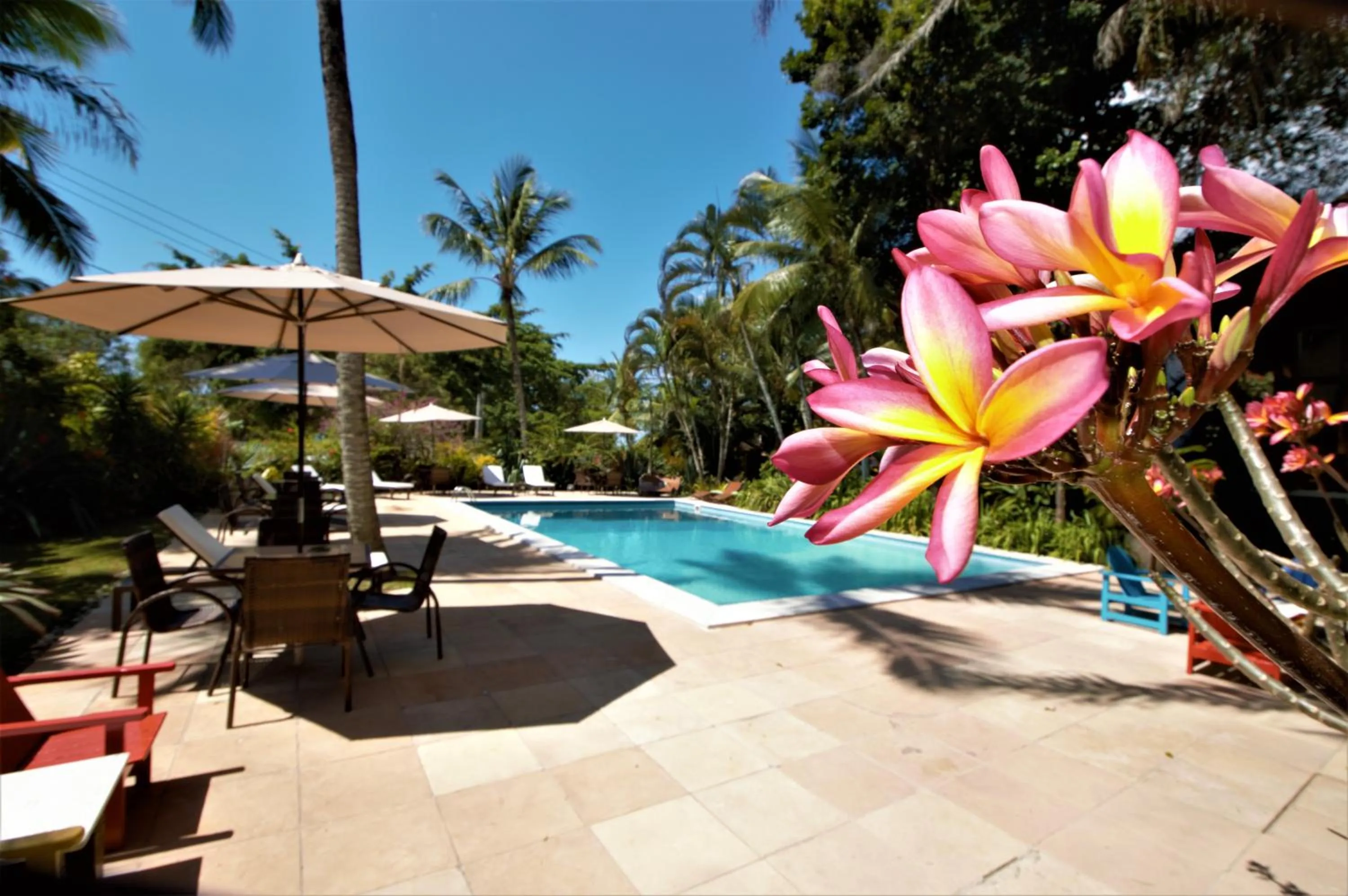 Swimming pool in Atmosphera Pousada