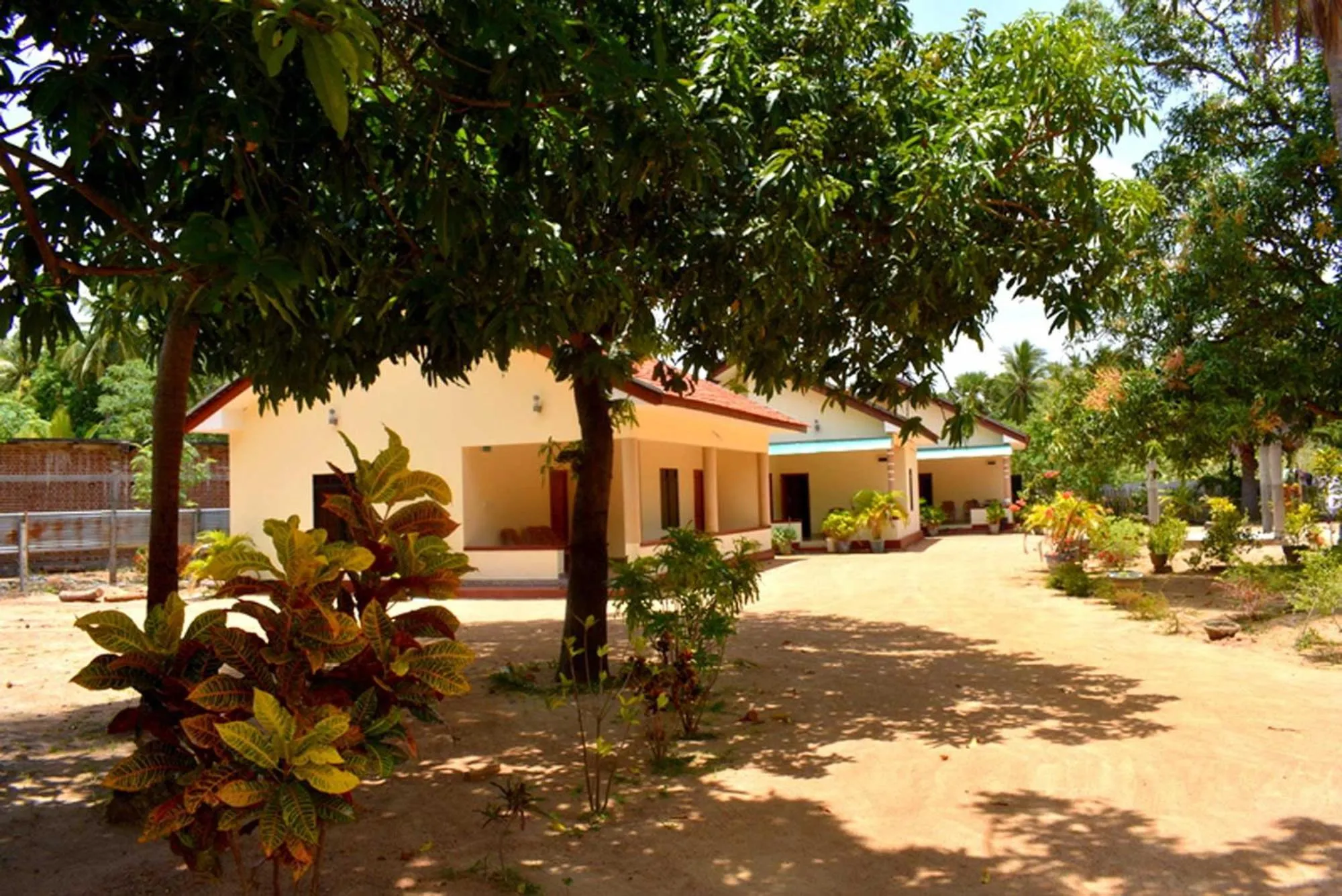 Garden in Yaswi Guest House