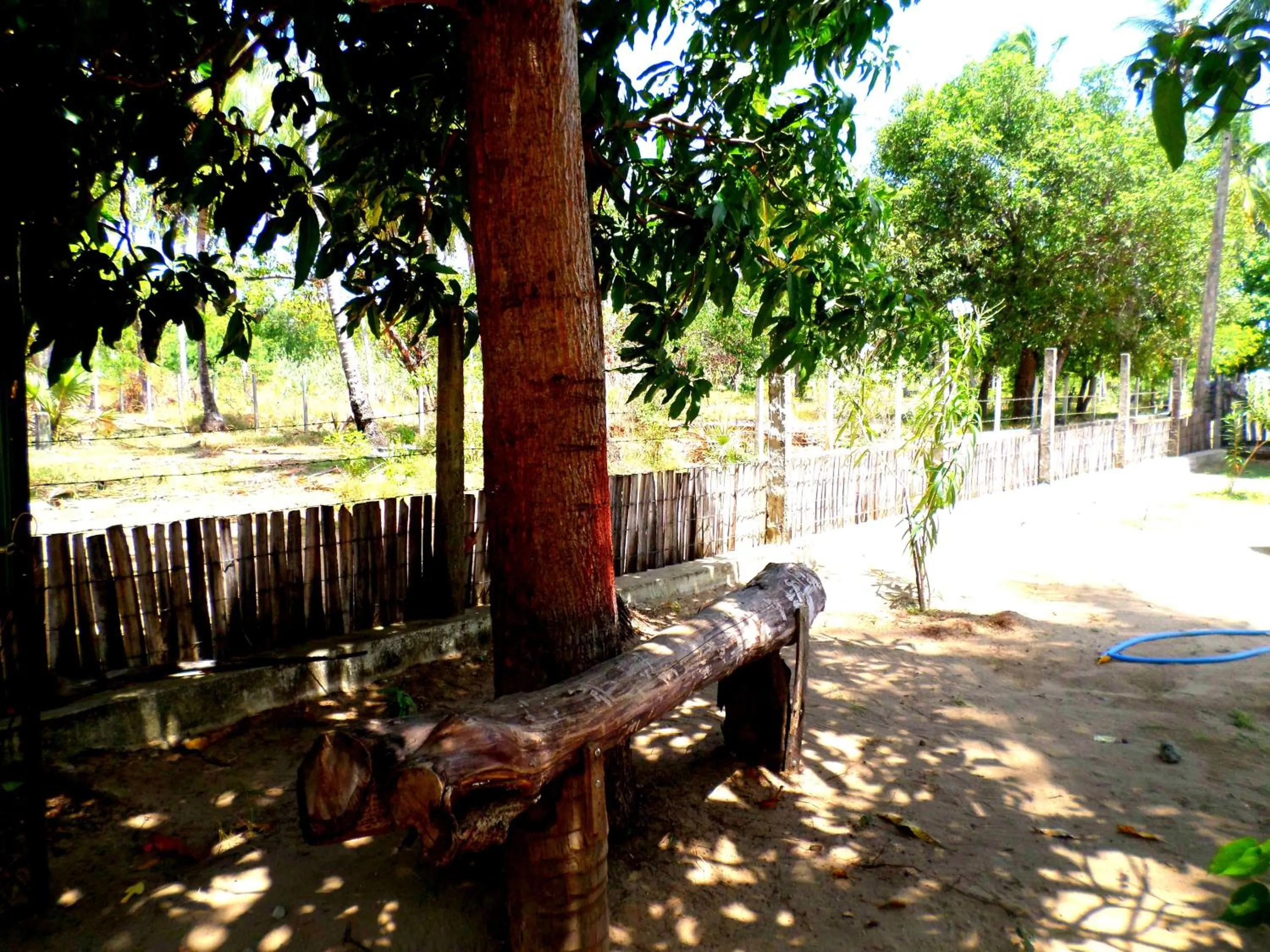 Garden in Yaswi Guest House