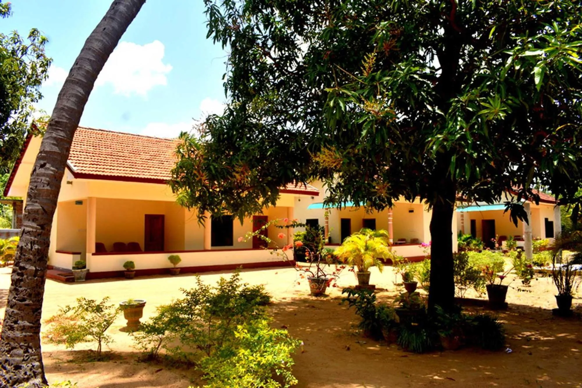 Garden in Yaswi Guest House