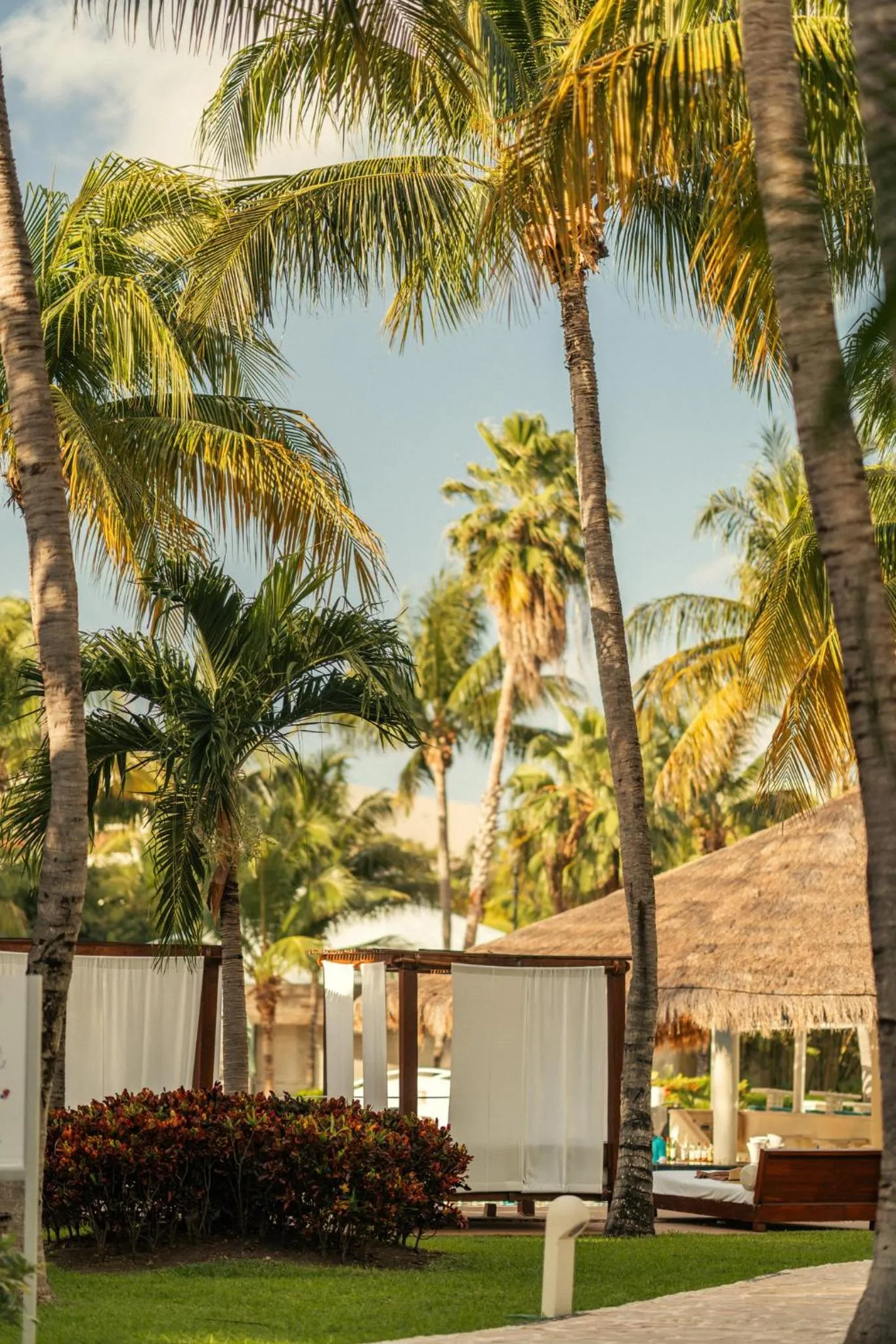 Beach in Palmar Beach Resort and Spa Riviera Maya - All Inclusive